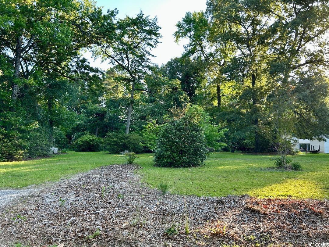 6914 Leslie Lewis Rd, Mullins, South Carolina image 3