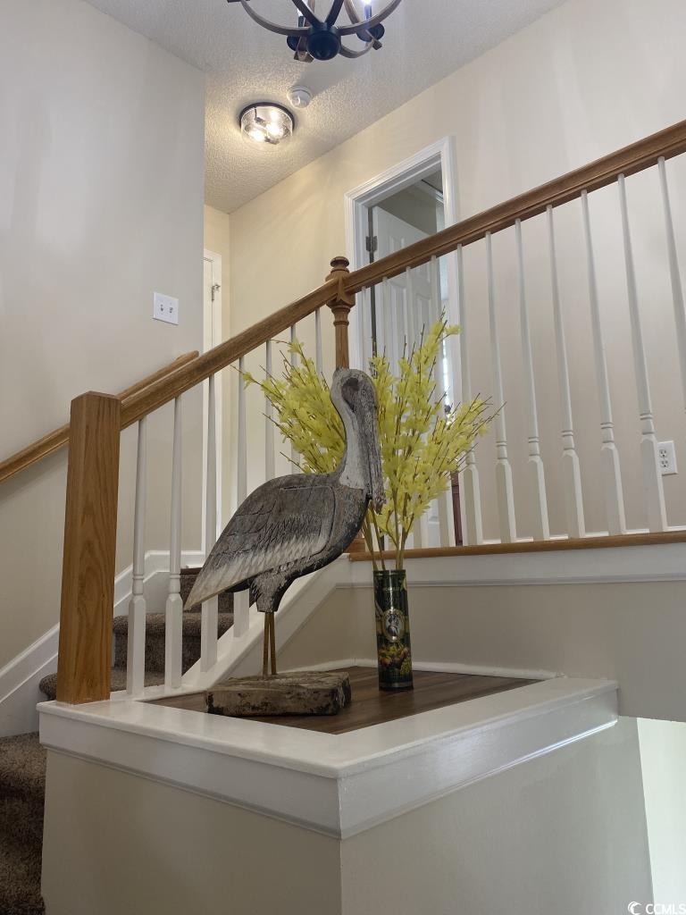 3017 Mercer Dr., Conway, South Carolina image 22