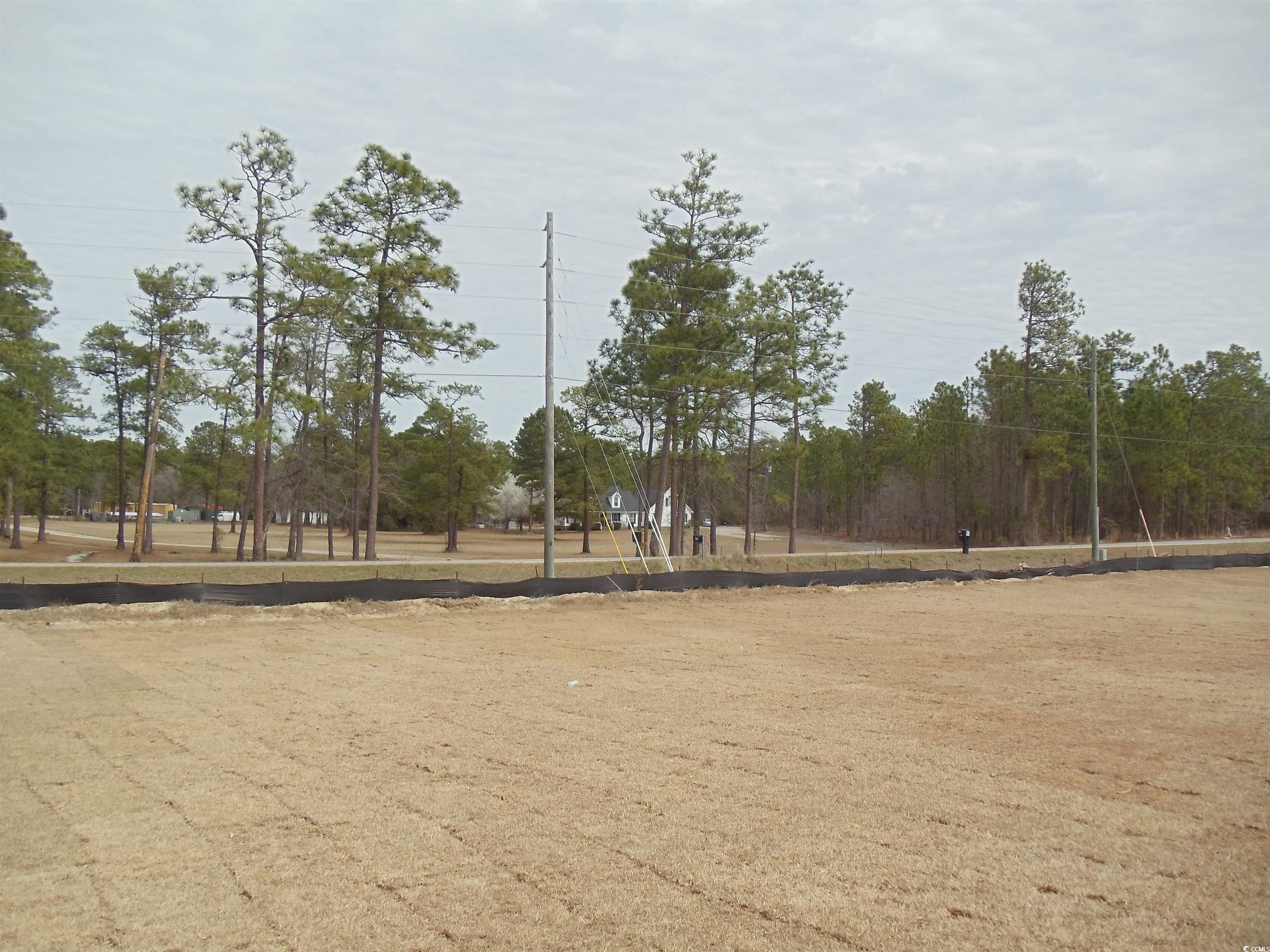 863 Long Beach Dr, Loris, South Carolina image 3