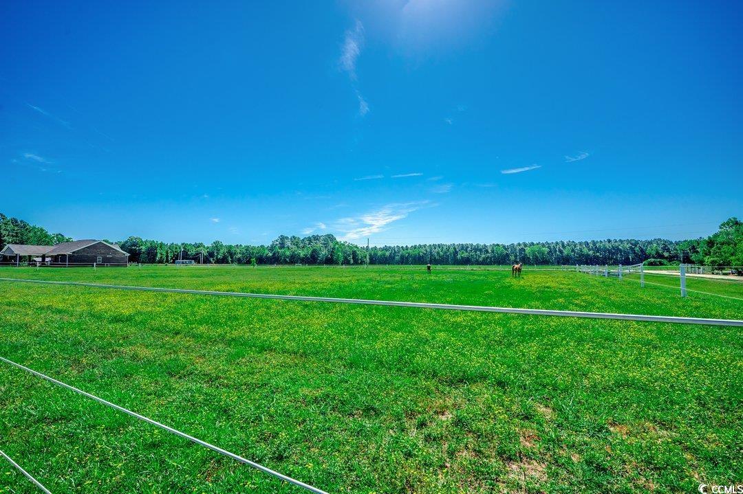 181 Halfway Rd., Nichols, South Carolina image 32