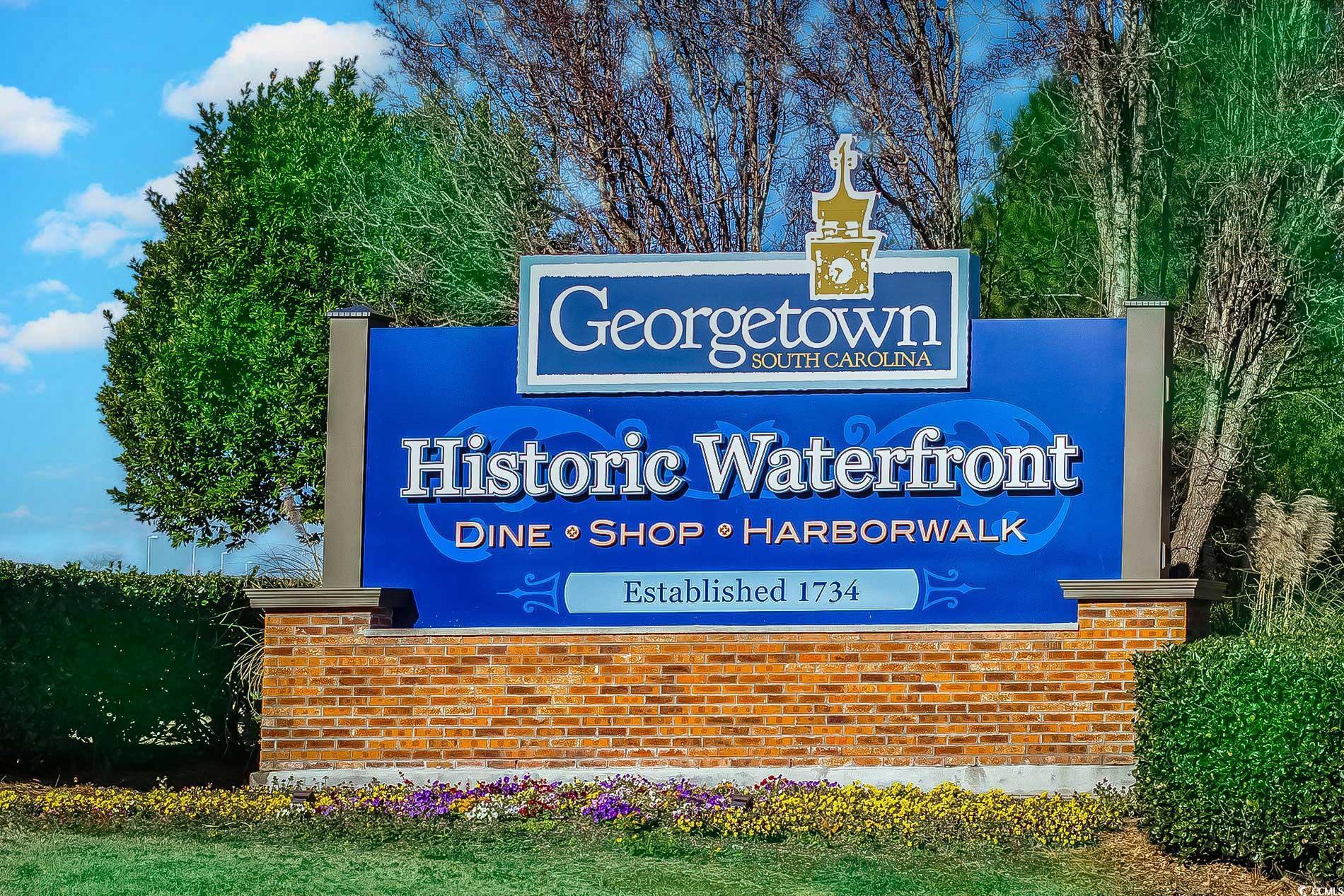 67 Bossie Ln., Georgetown, South Carolina image 26
