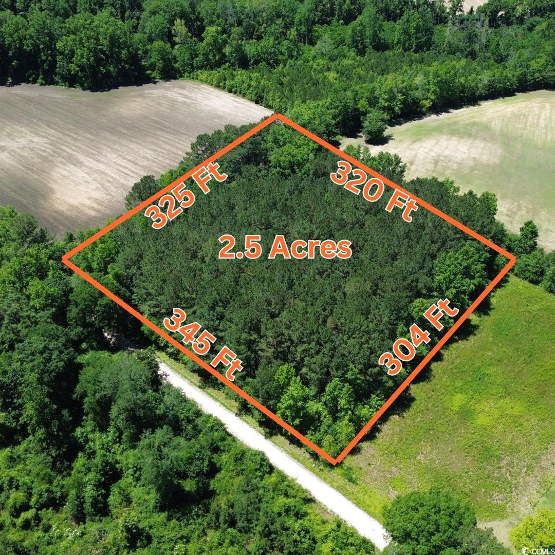 TBD Sparrow Ln. Loris, SC 29569