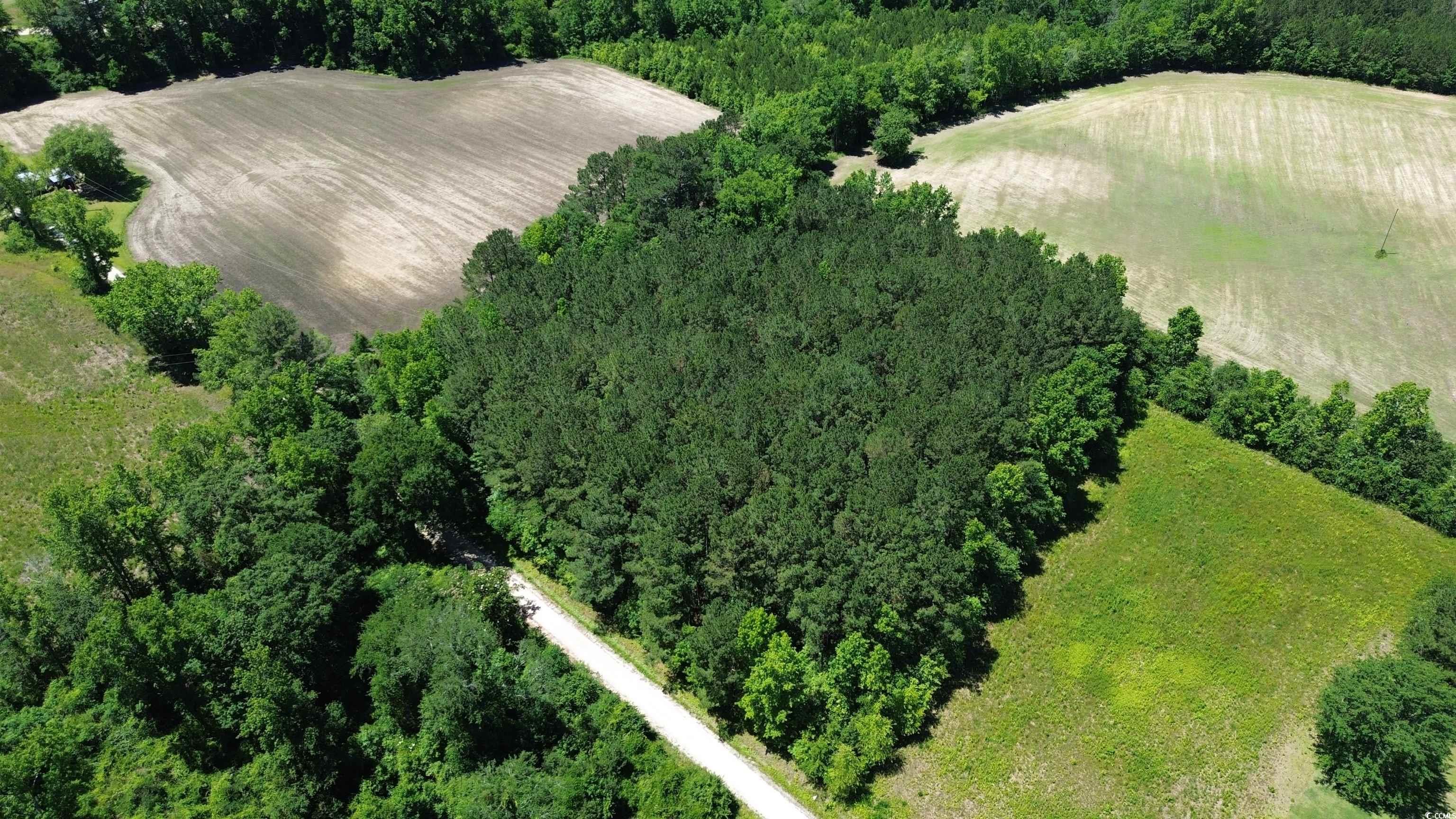 TBD Sparrow Ln., Loris, South Carolina image 5