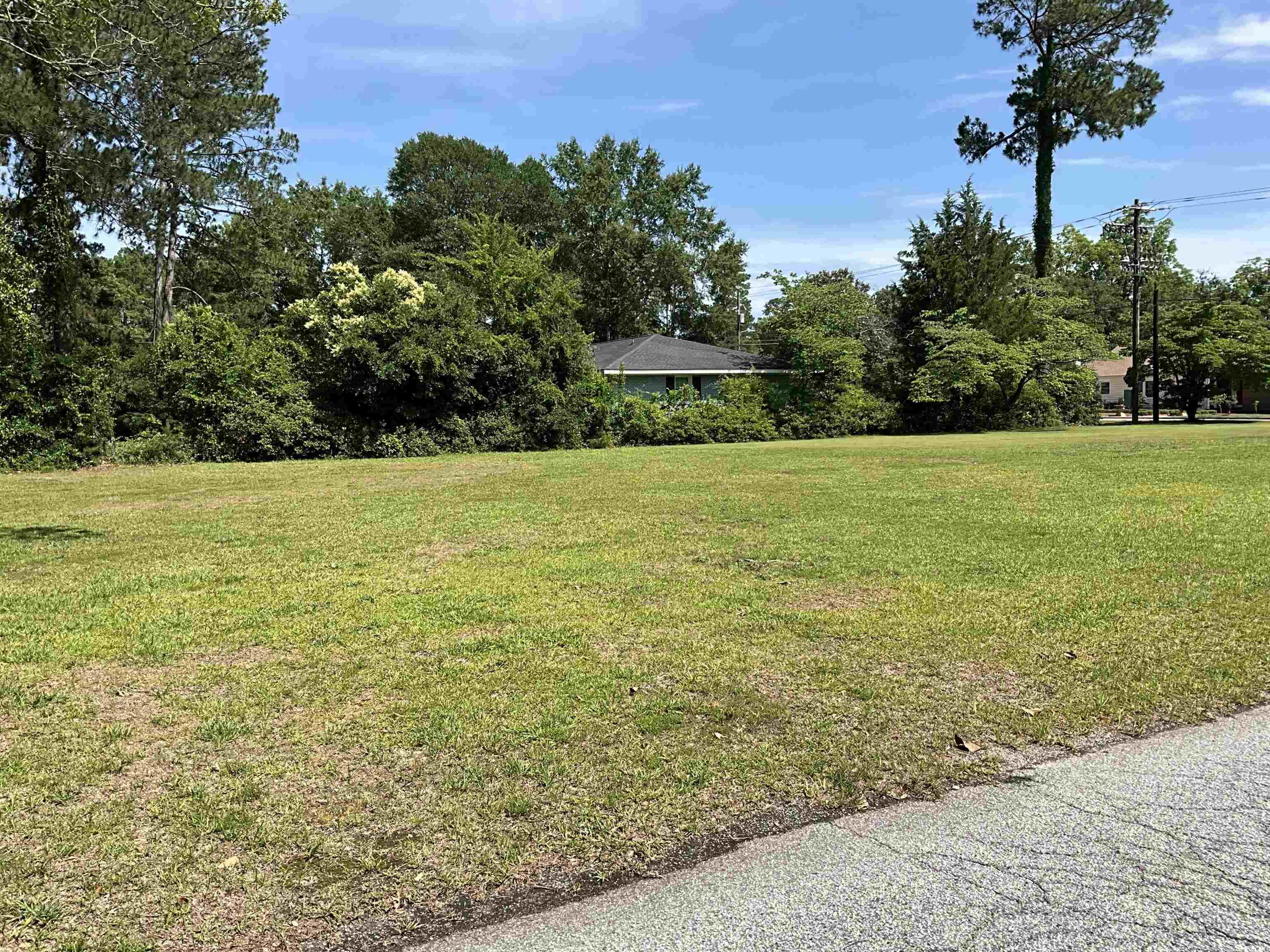 104 Franklin Ave., Marion, South Carolina image 1