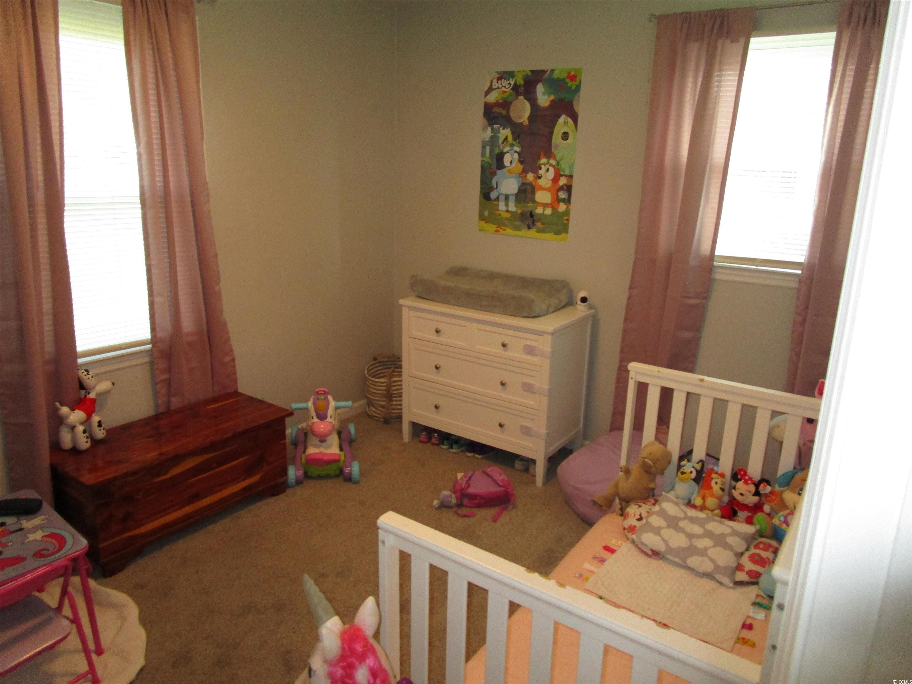 5578 Dongola Hwy., Conway, South Carolina image 10