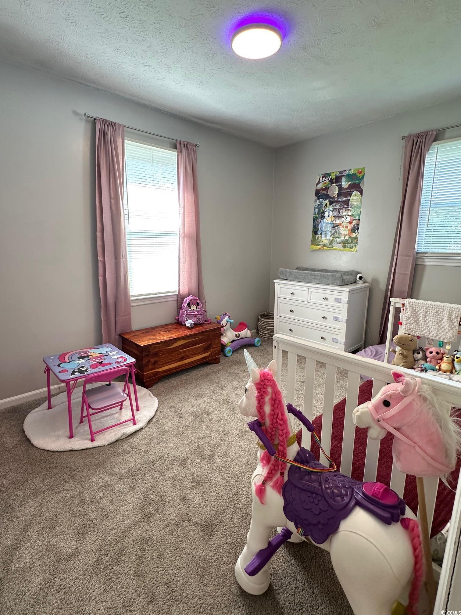5578 Dongola Hwy., Conway, South Carolina image 19