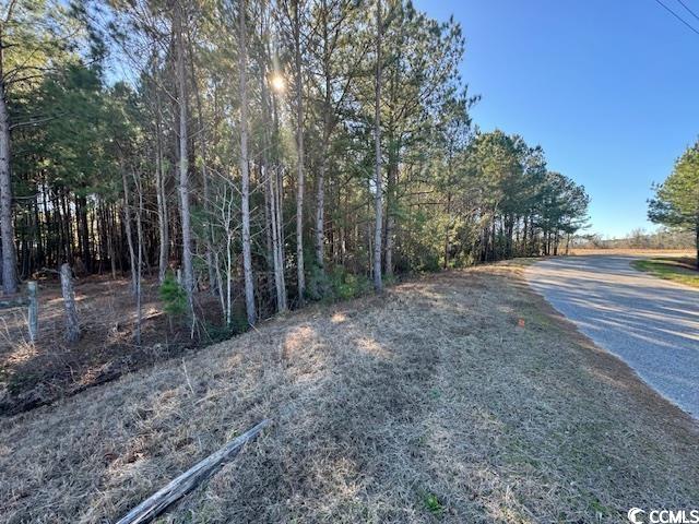 TBD Lot 3 Night Owl Ln. Conway, SC 29527
