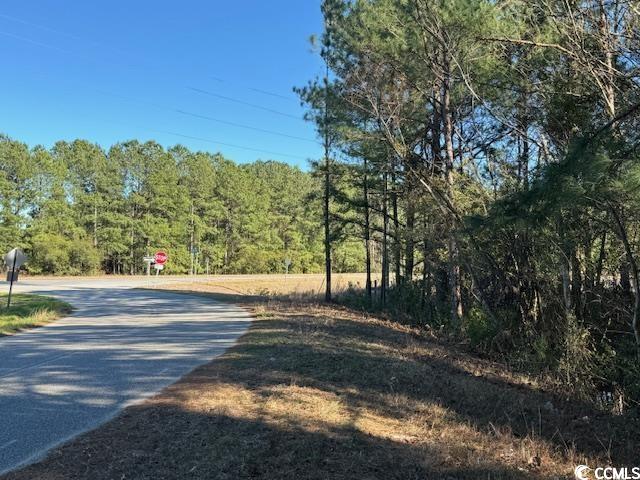 TBD Lot 3 Night Owl Ln., Conway, South Carolina image 2