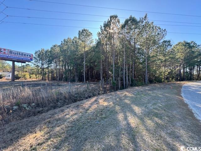TBD Lot 3 Night Owl Ln., Conway, South Carolina image 3