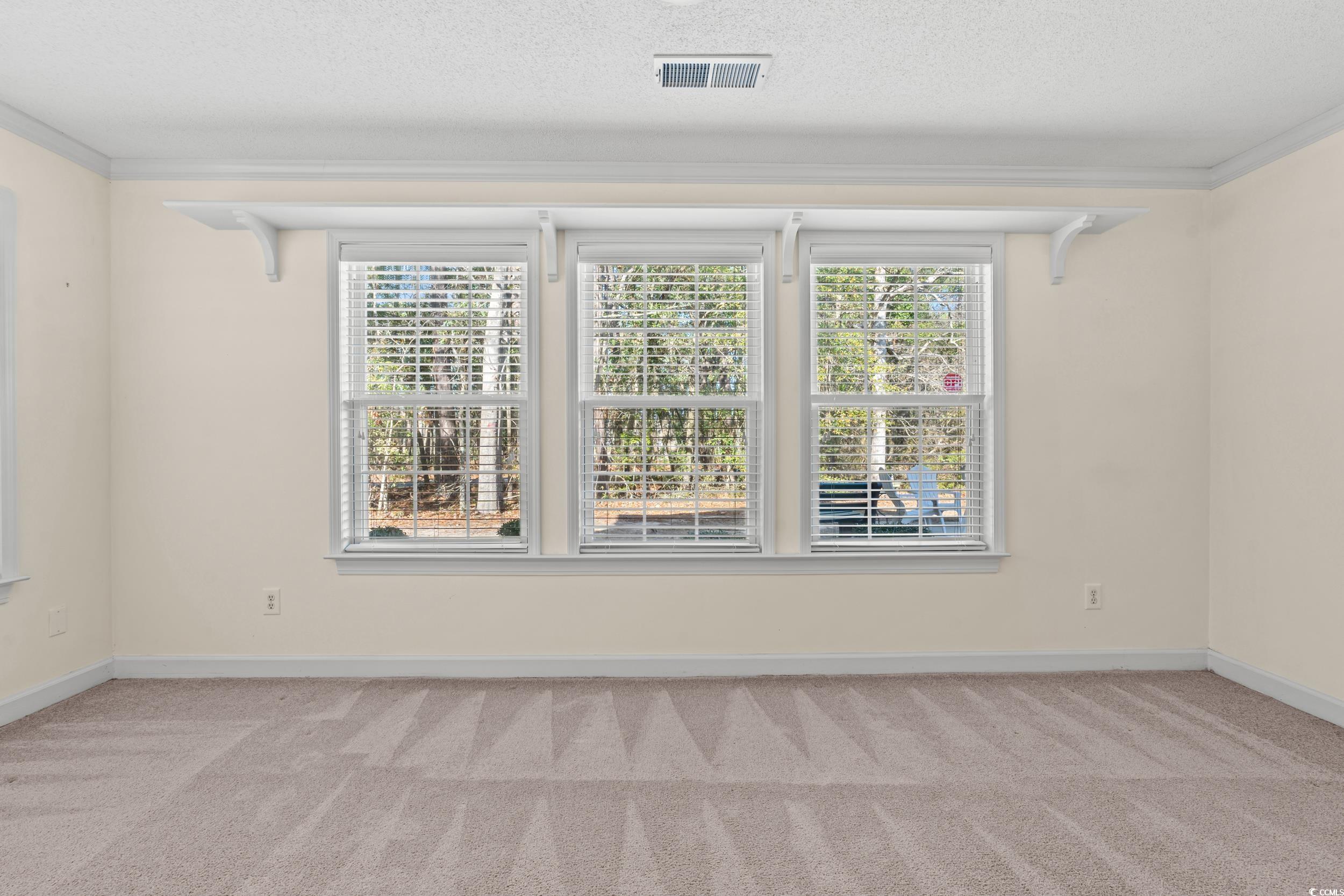 4388 Daphne Ln. #C, Murrells Inlet, South Carolina image 7