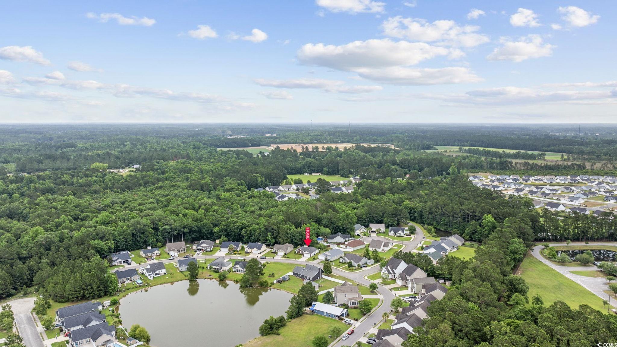 208 Hamilton Way, Conway, South Carolina image 31