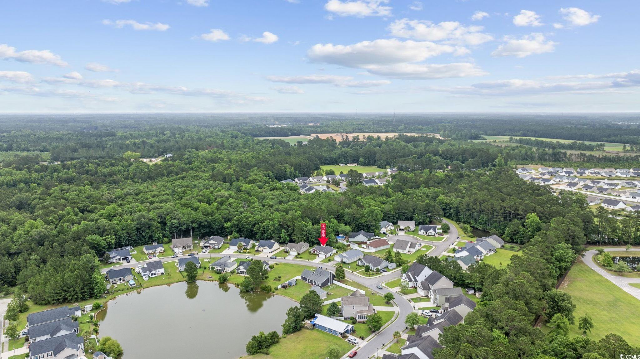 208 Hamilton Way, Conway, South Carolina image 34