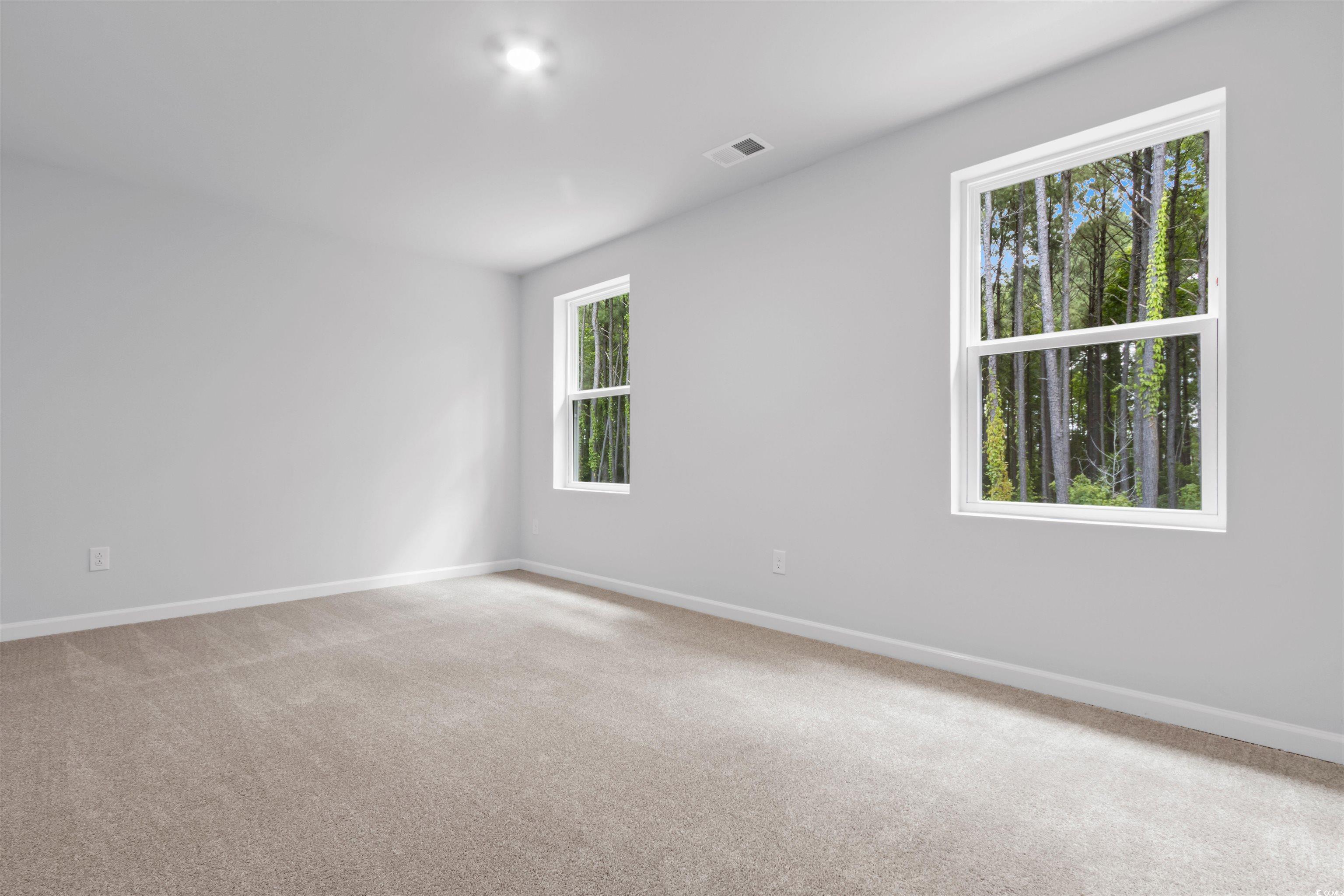786 NW Palm Frond Way #51, Calabash, North Carolina image 17