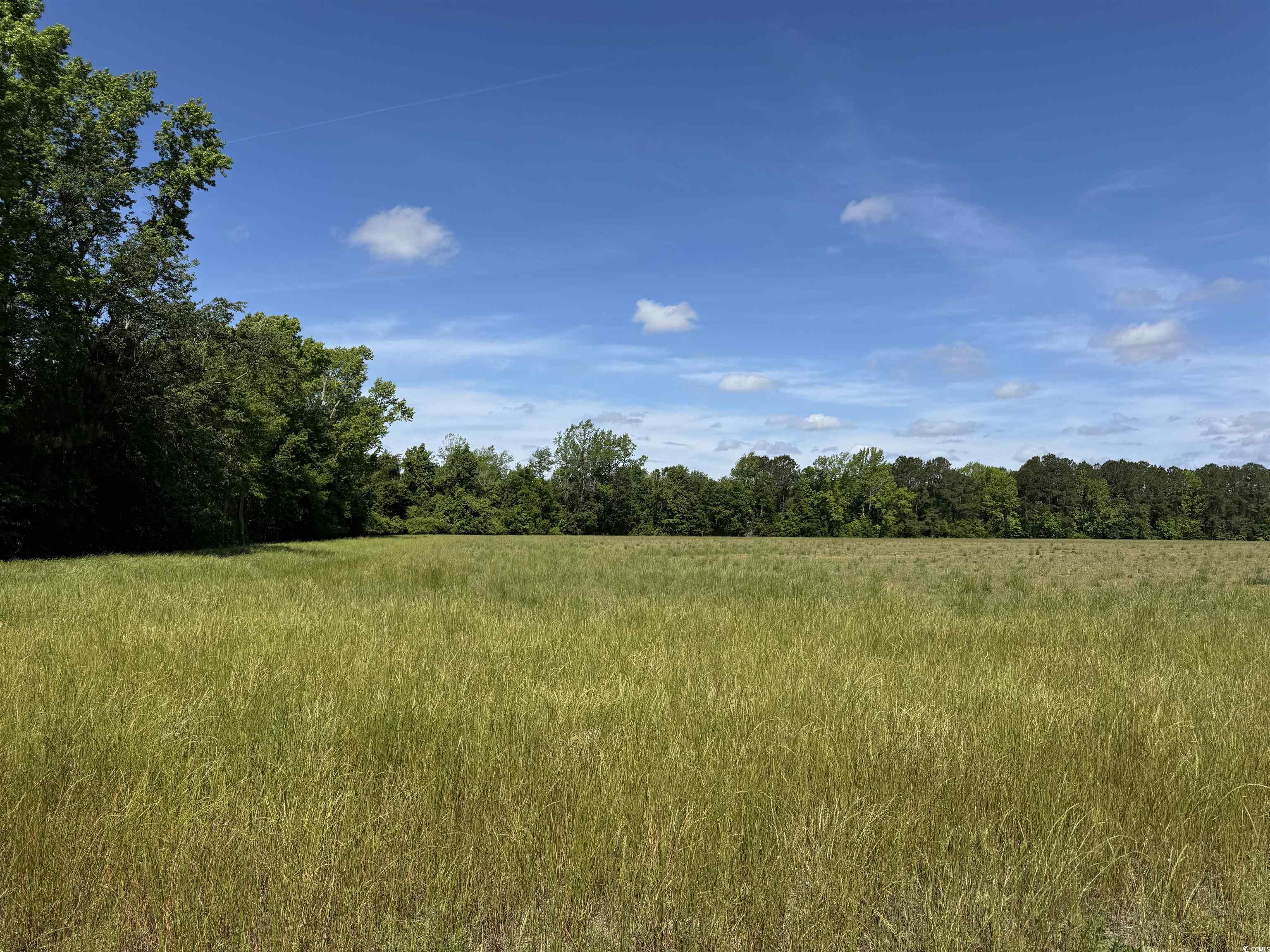 4615 Grainger Circle, Green Sea, South Carolina image 4