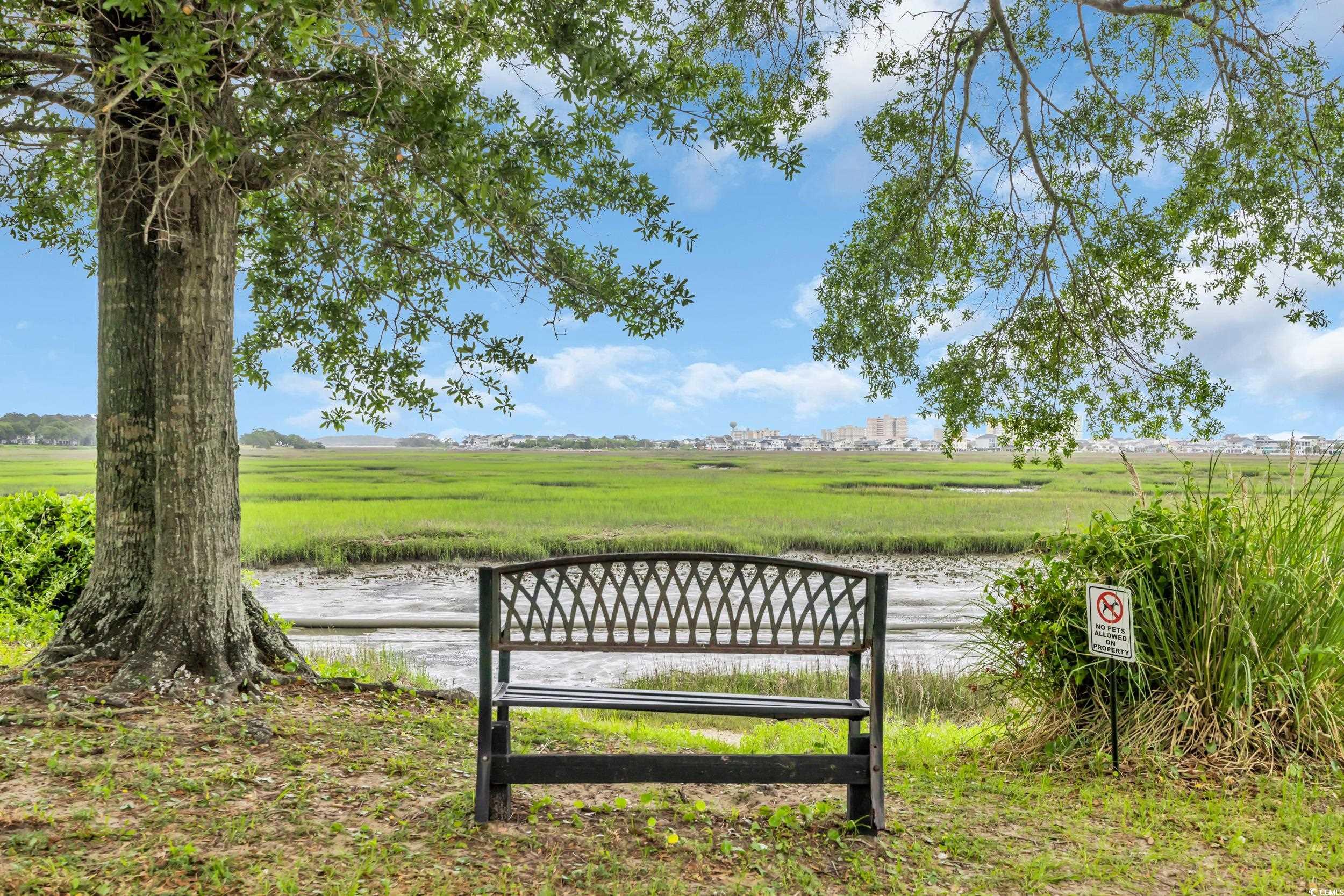 4517 Kingfisher St., North Myrtle Beach, South Carolina image 29