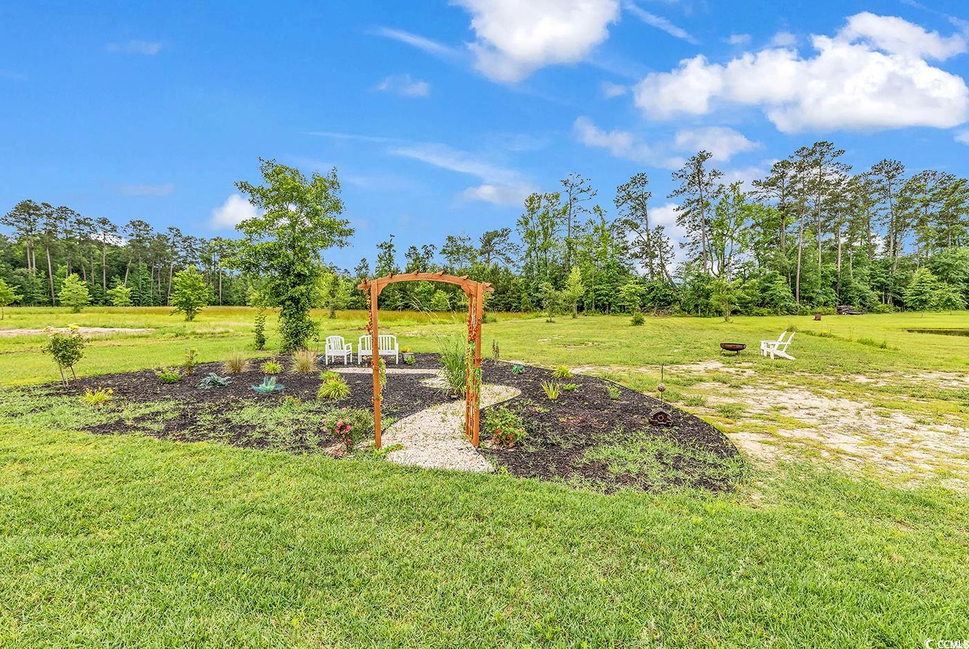 7377 Pauley Swamp Rd., Conway, South Carolina image 33