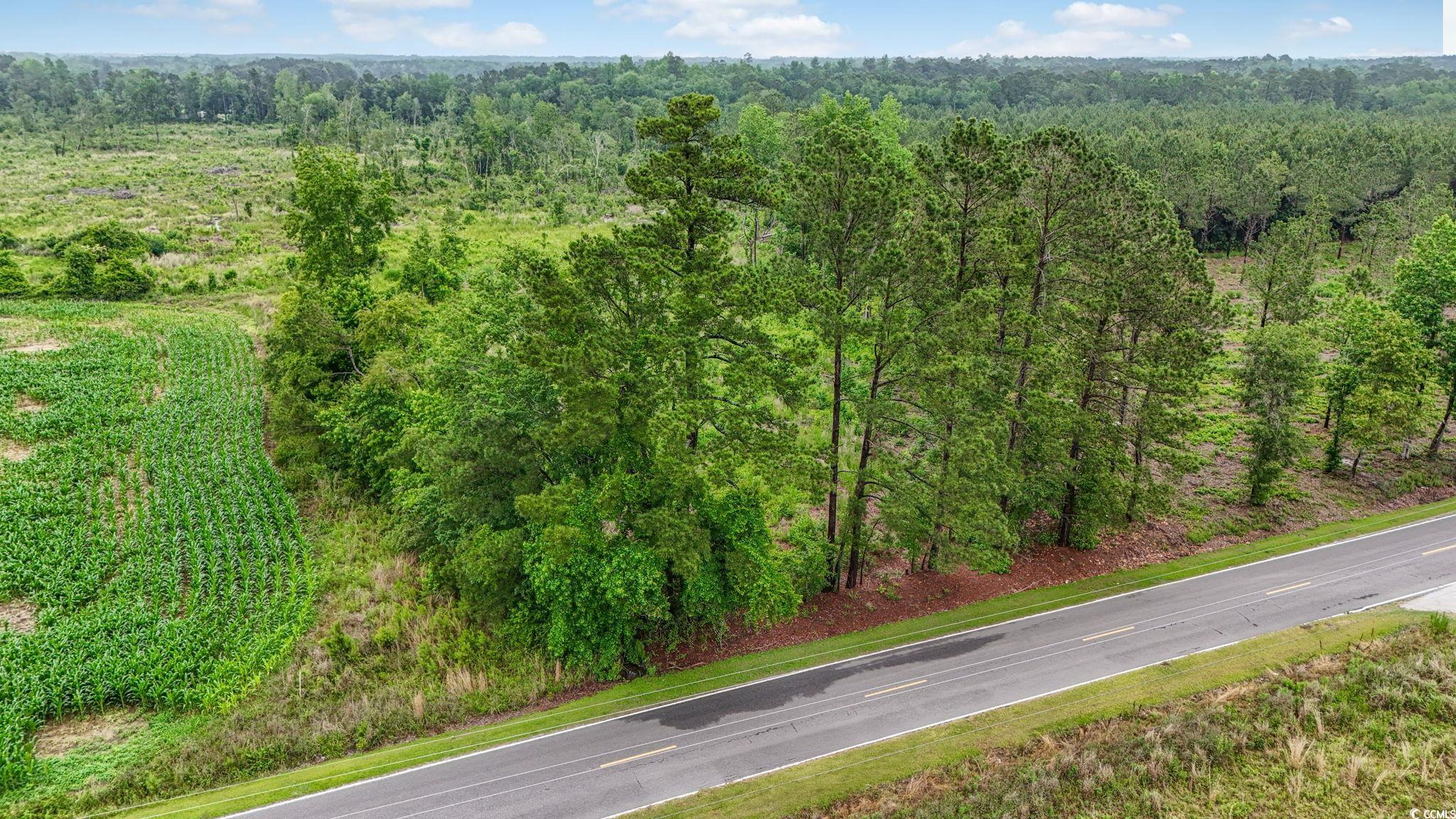 TBD Oak Dale Rd. Loris, SC 29569