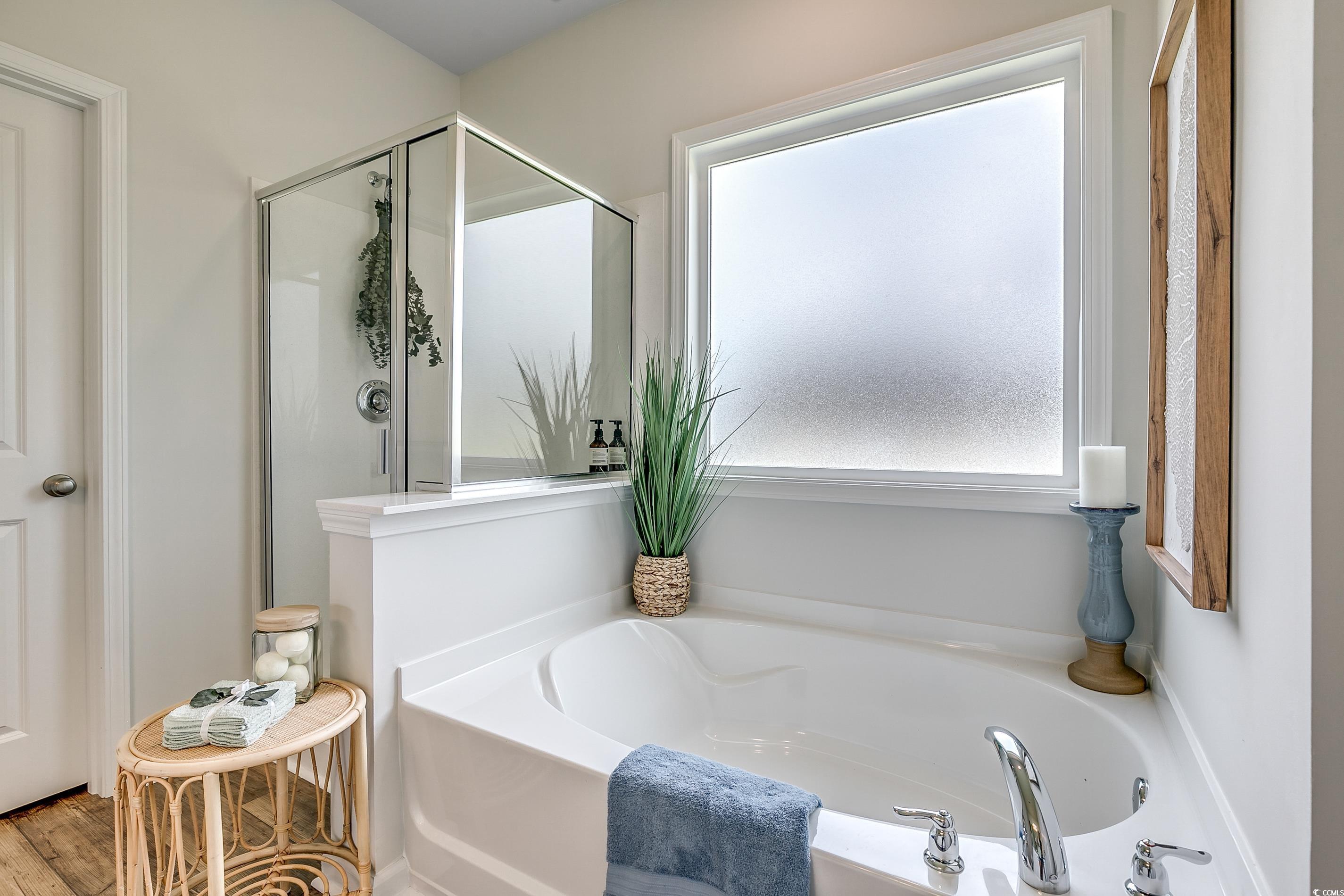 227 Sundrop Way, Conway, South Carolina image 3