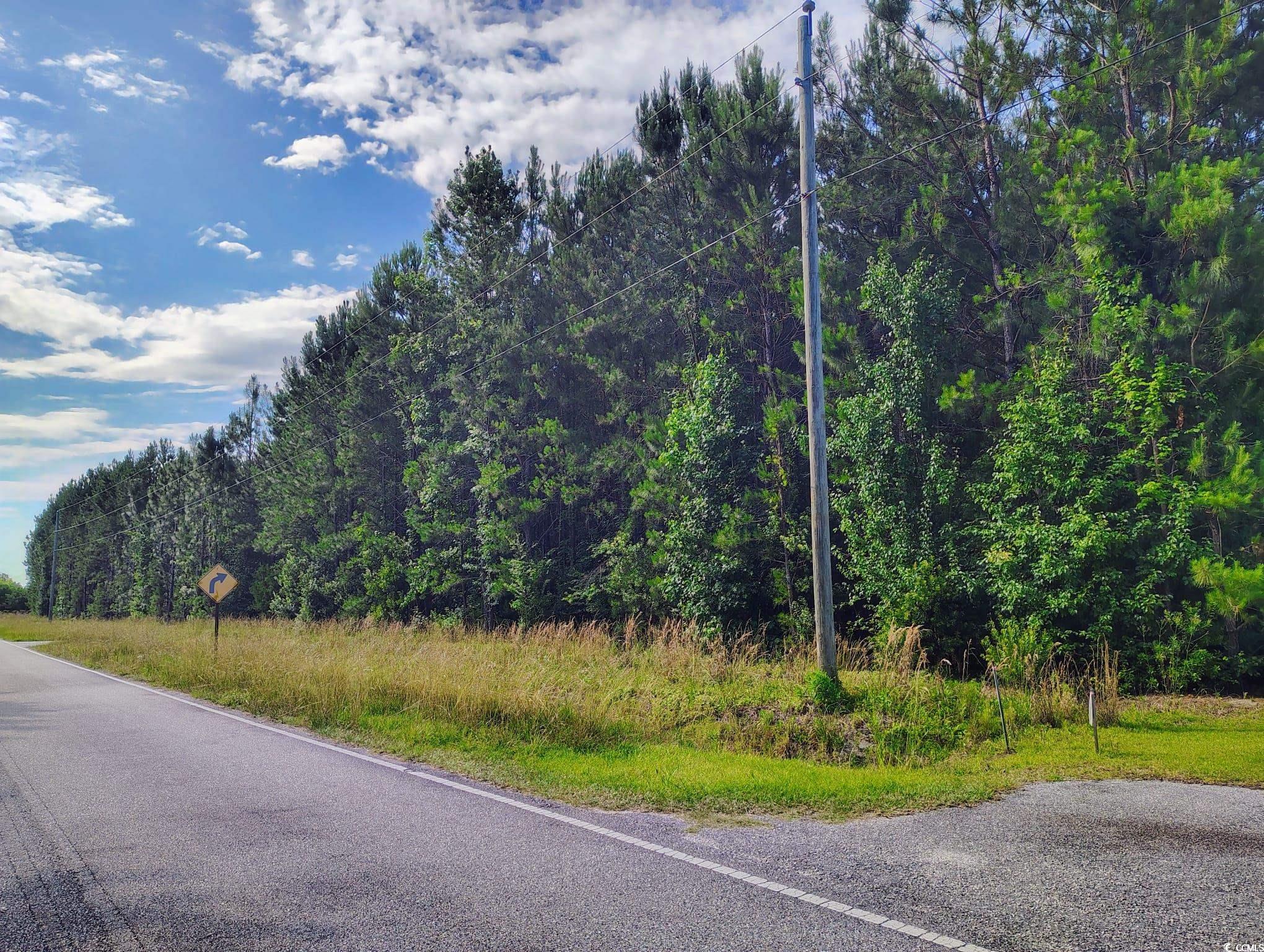 TBD Boggy Branch Rd., Nichols, South Carolina image 1