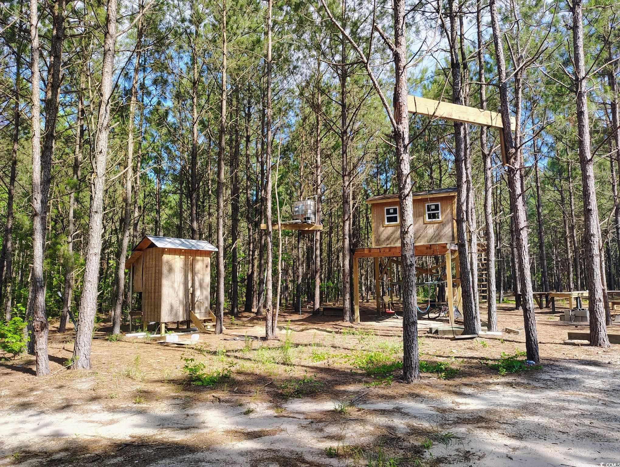 TBD Boggy Branch Rd., Nichols, South Carolina image 14