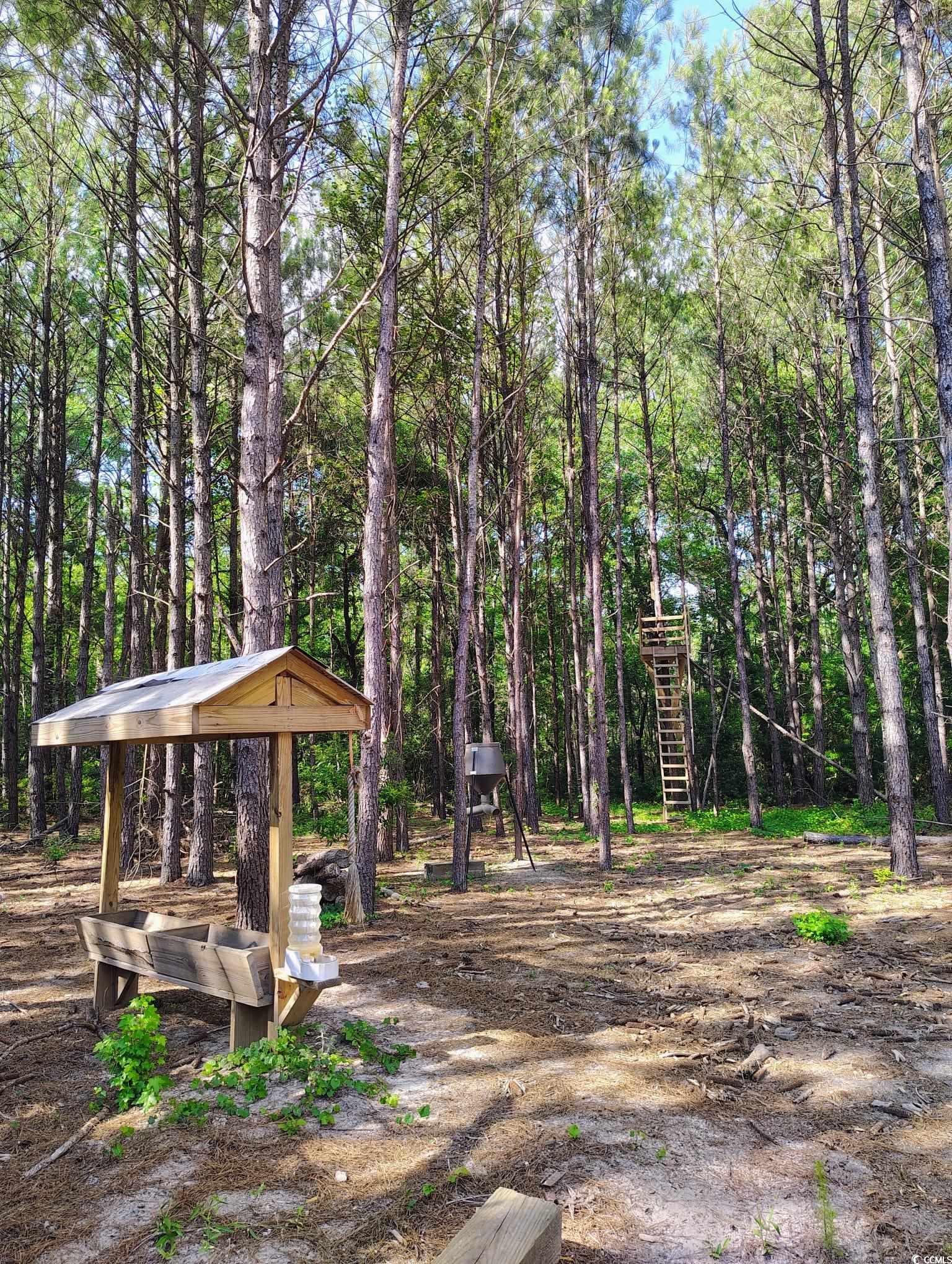TBD Boggy Branch Rd., Nichols, South Carolina image 21