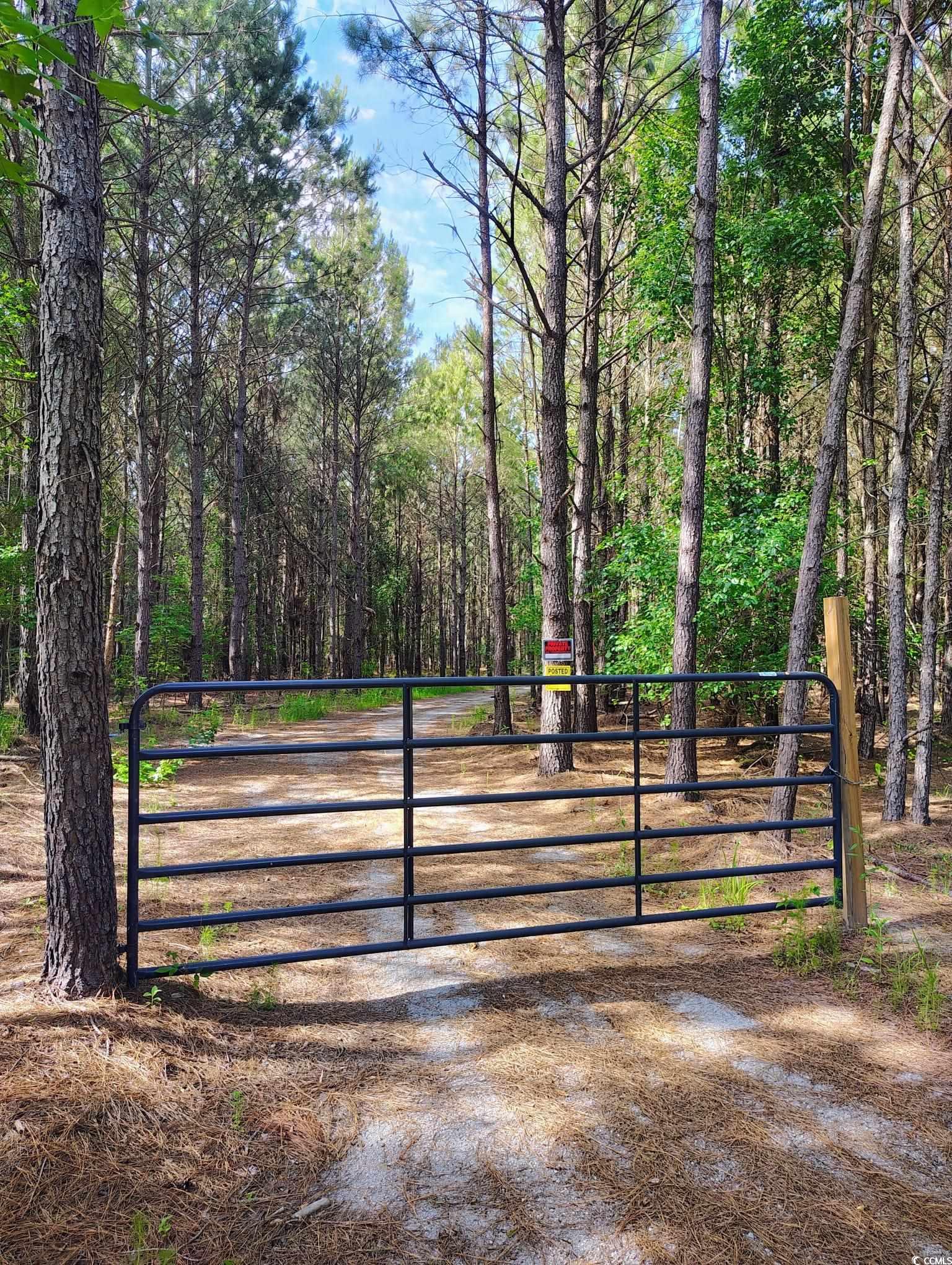 TBD Boggy Branch Rd., Nichols, South Carolina image 7