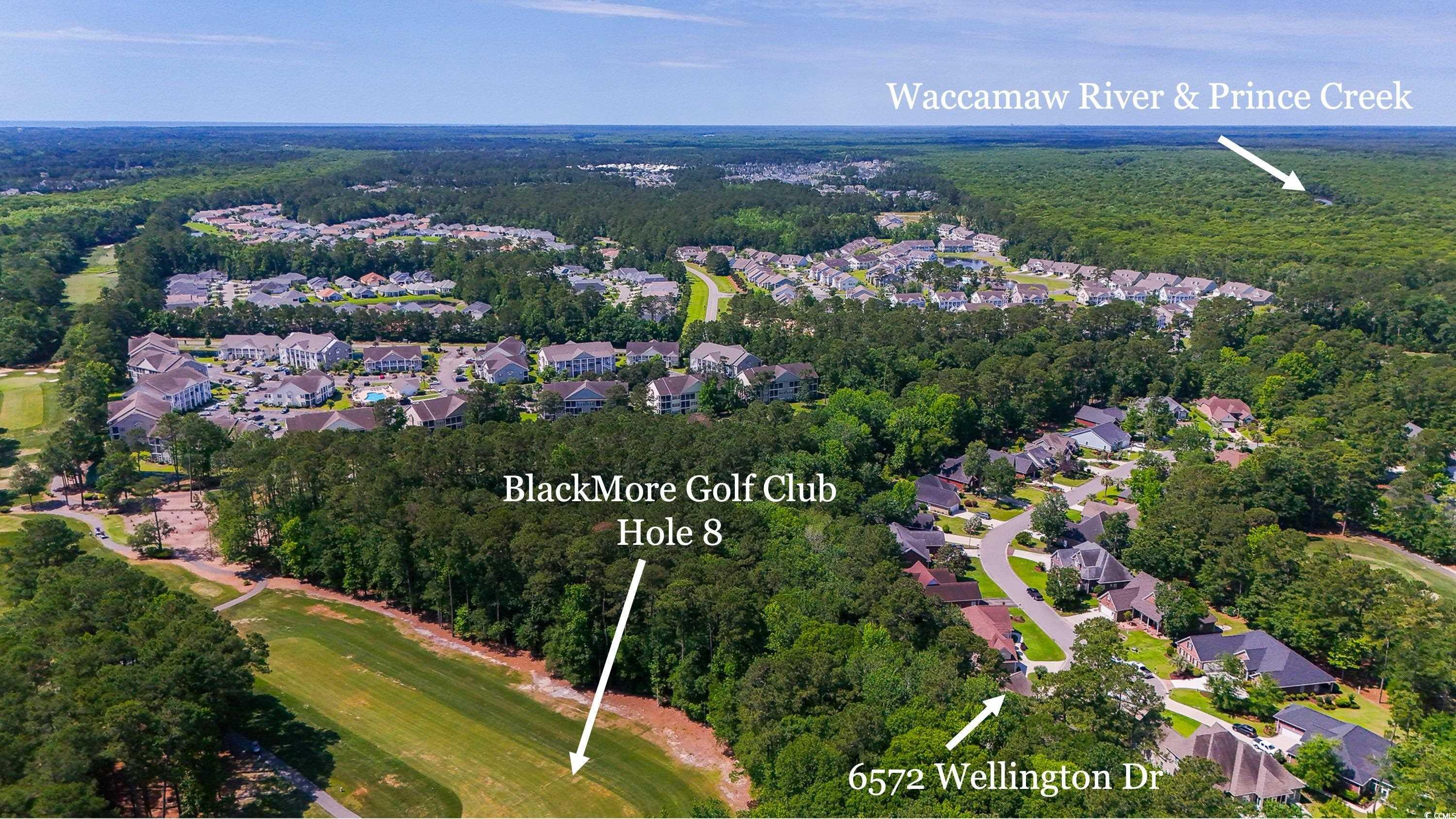 6572 Wellington Dr., Murrells Inlet, South Carolina image 11