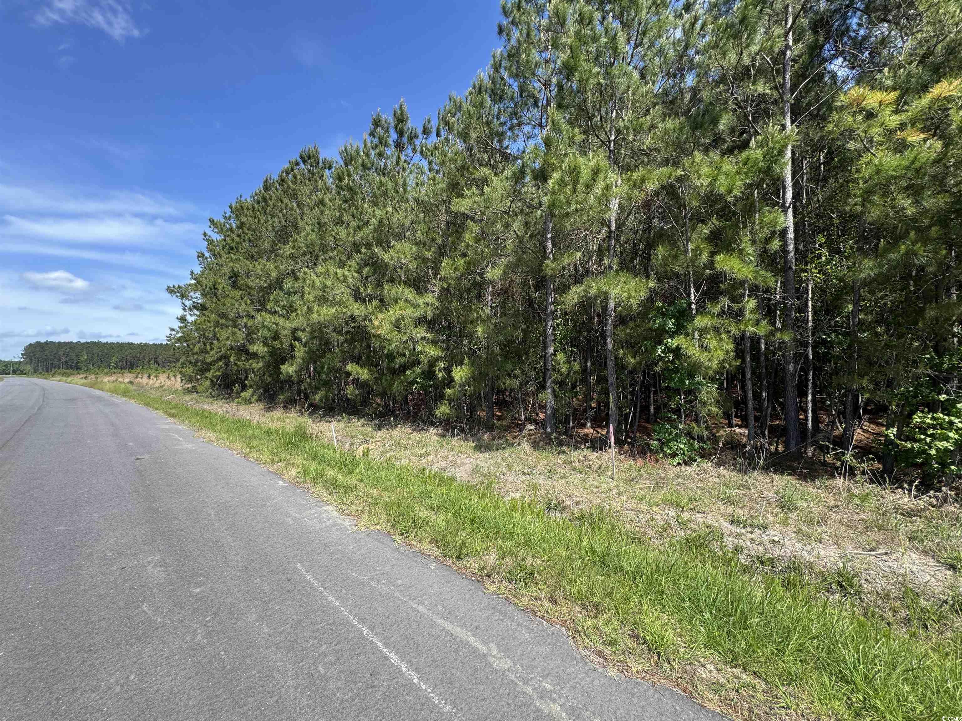4701 Grainger Circle, Green Sea, South Carolina image 12