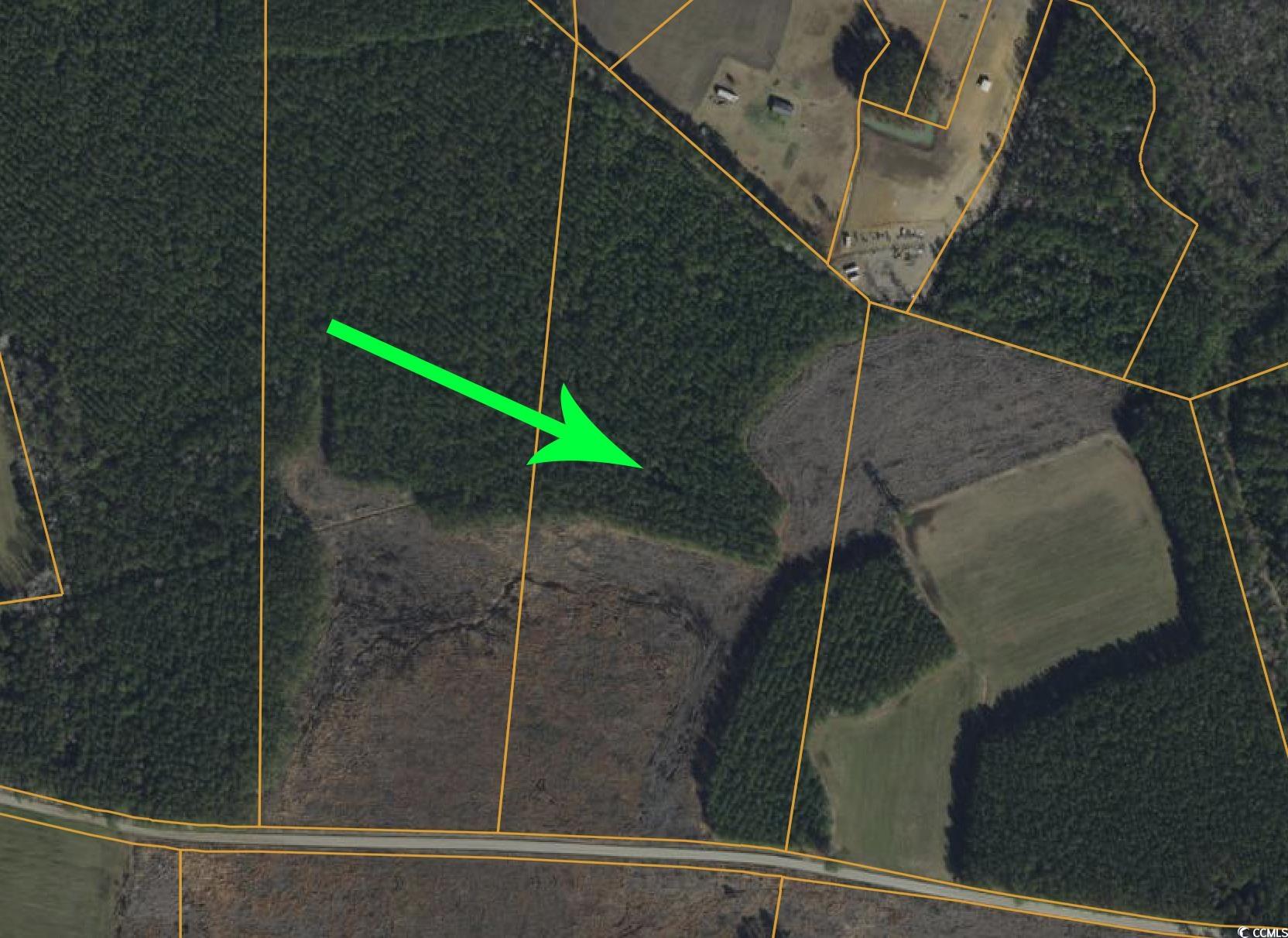 4701 Grainger Circle, Green Sea, South Carolina image 5