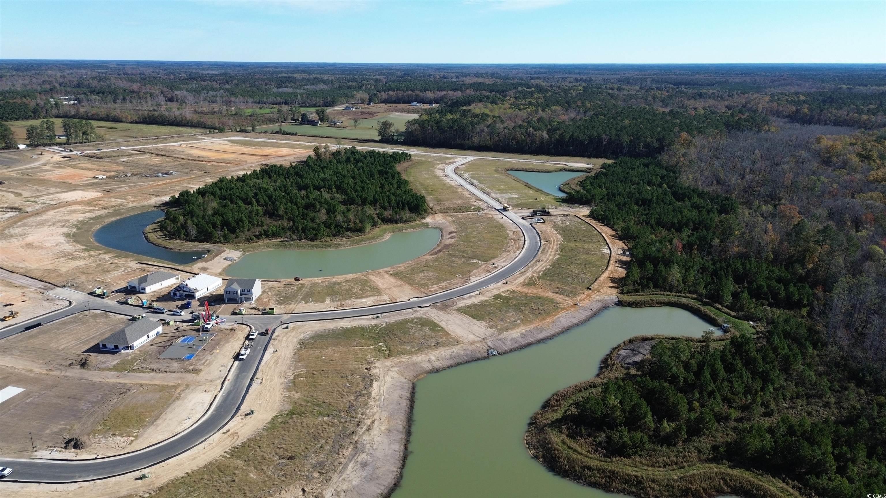 869 Farmers Passage Loop, Loris, South Carolina image 26