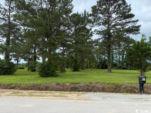 4.30 Acs Rabon Rd., Aynor, South Carolina image 2