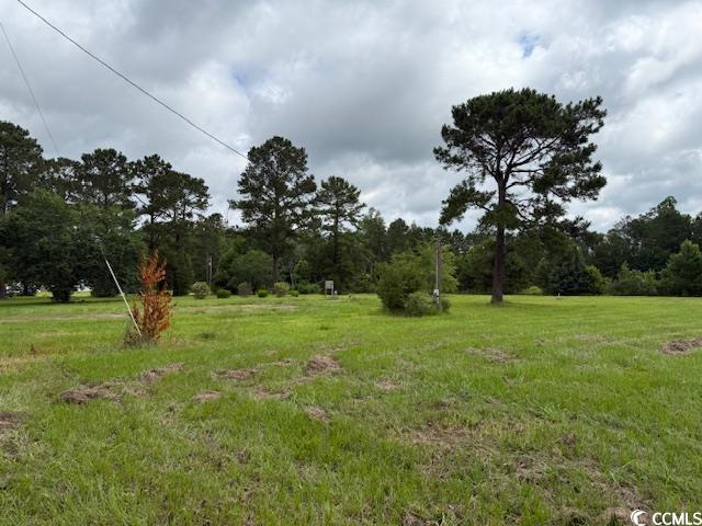 4.30 Acs Rabon Rd., Aynor, South Carolina image 8