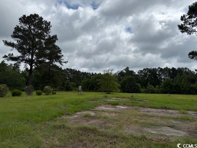 9.76 Acs Rabon Rd., Aynor, South Carolina image 6
