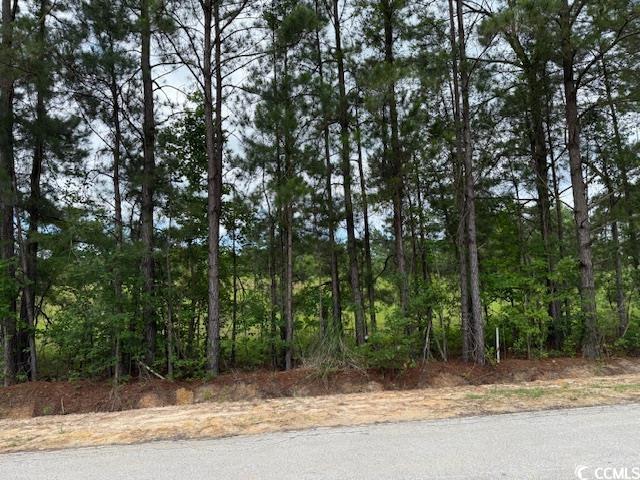 4.30 Acres Rabon Rd., Aynor, South Carolina image 11