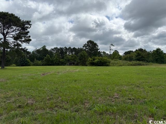 4.30 Acres Rabon Rd., Aynor, South Carolina image 7