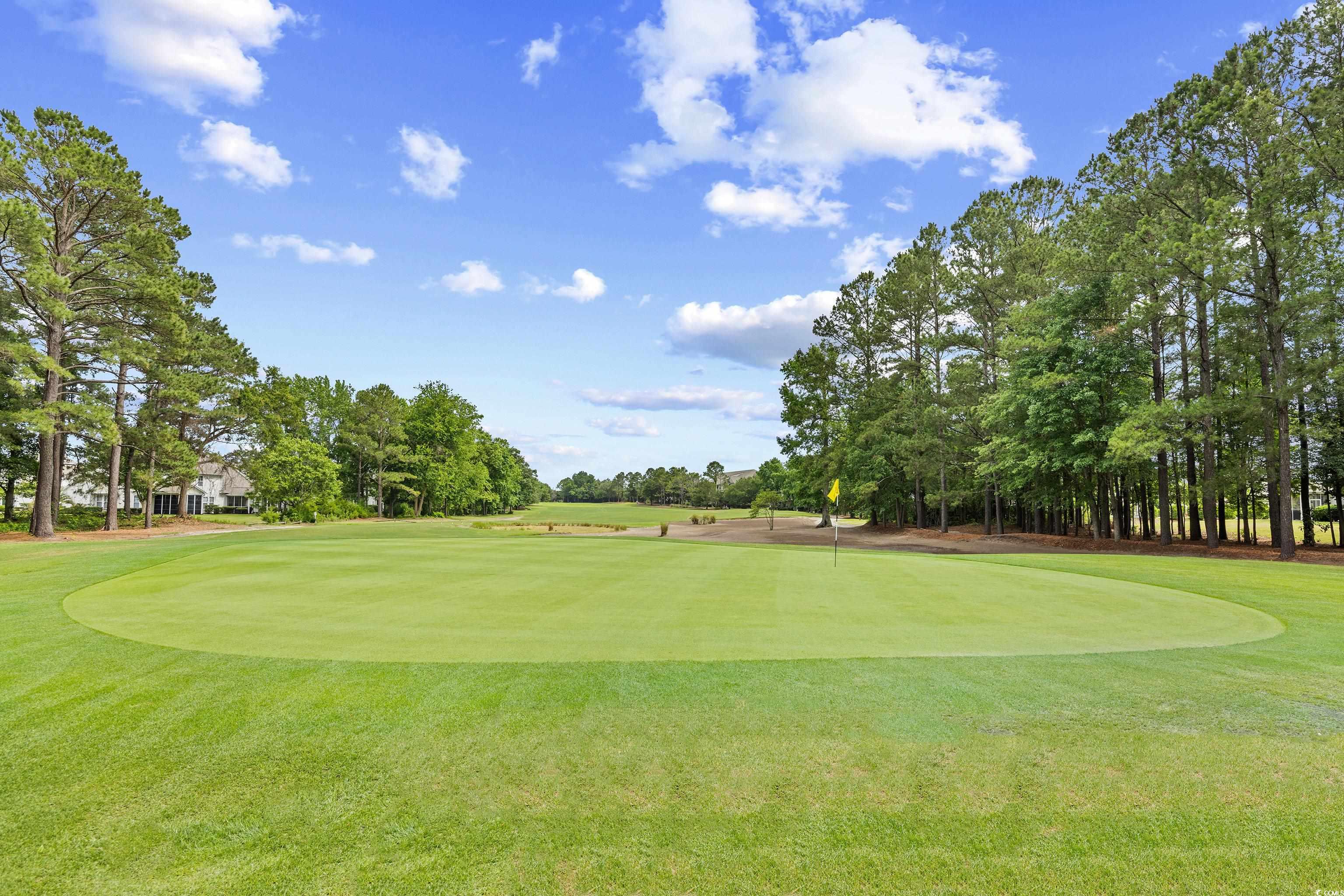 6203 Catalina Dr. #212, North Myrtle Beach, South Carolina image 29