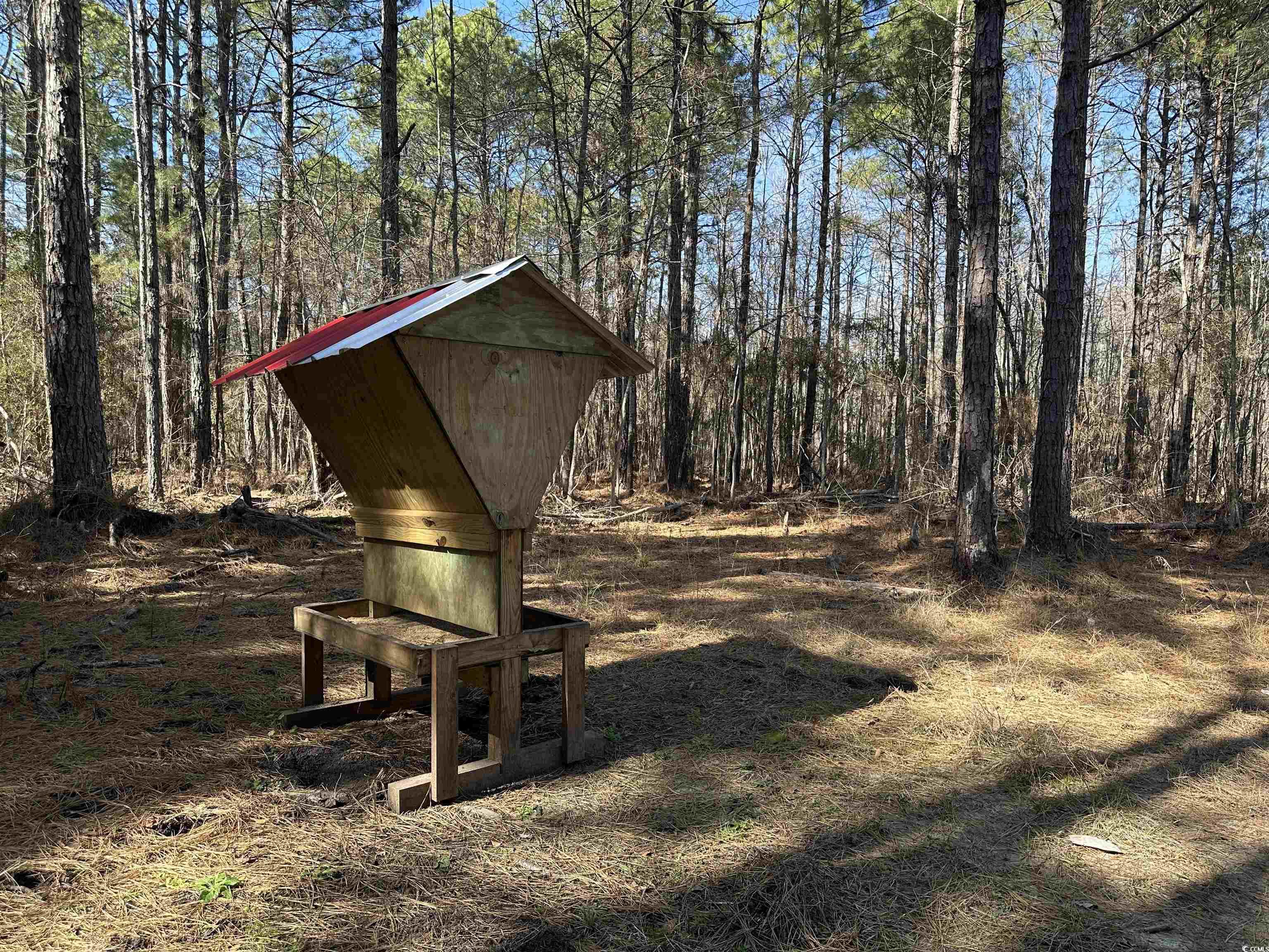 TBD Union Church Rd., Salters, South Carolina image 11
