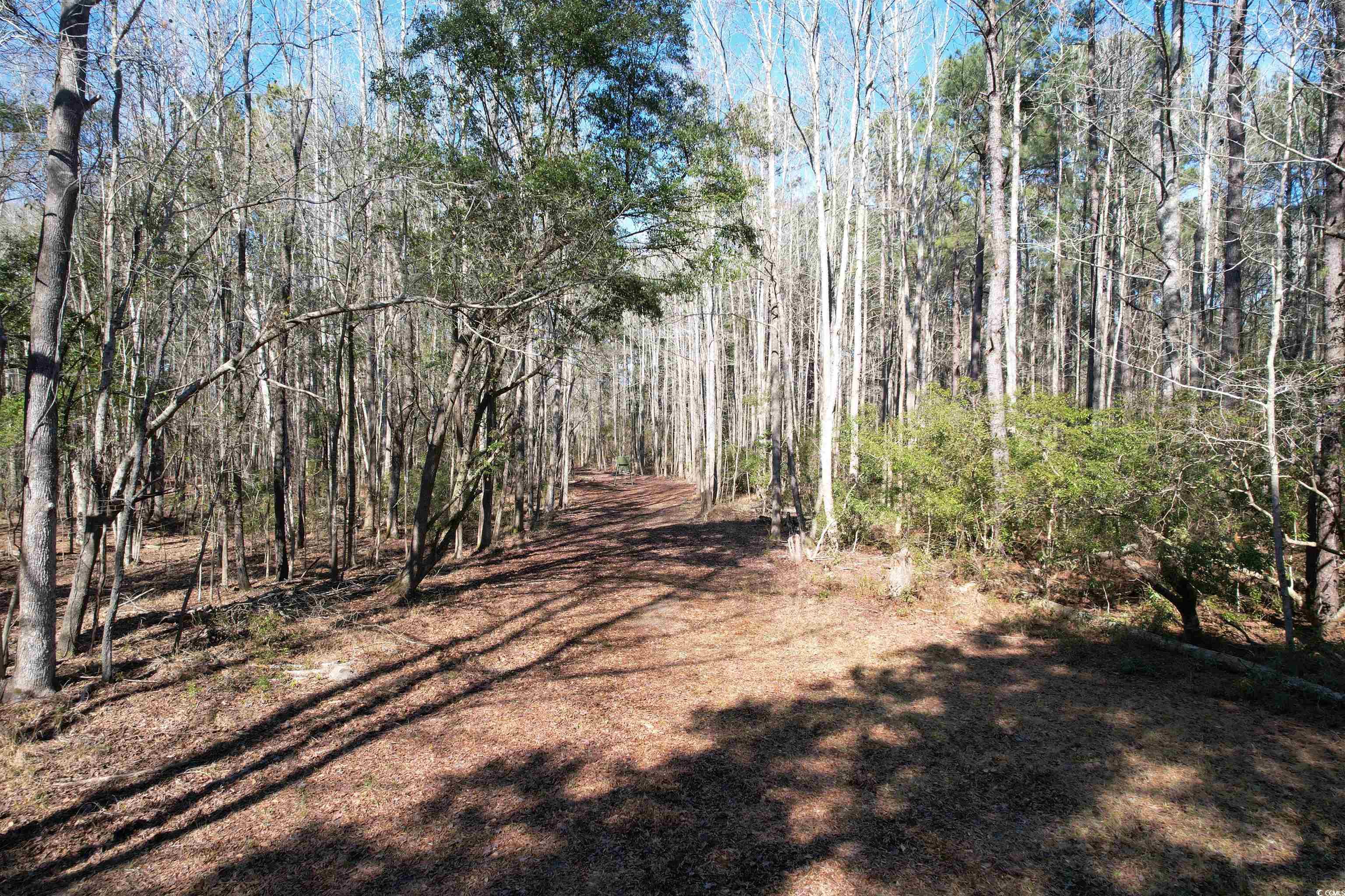 TBD Union Church Rd., Salters, South Carolina image 12