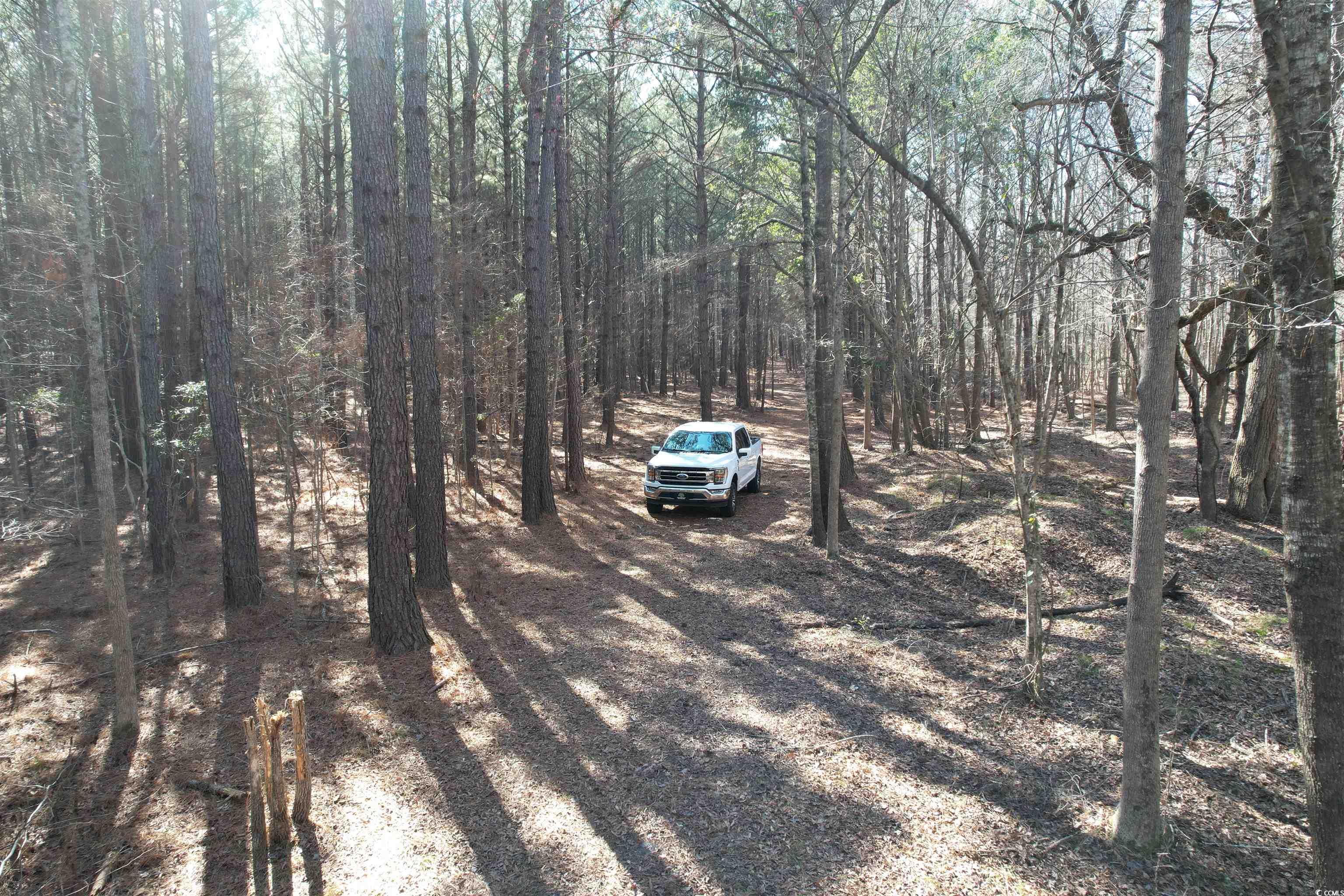 TBD Union Church Rd., Salters, South Carolina image 14