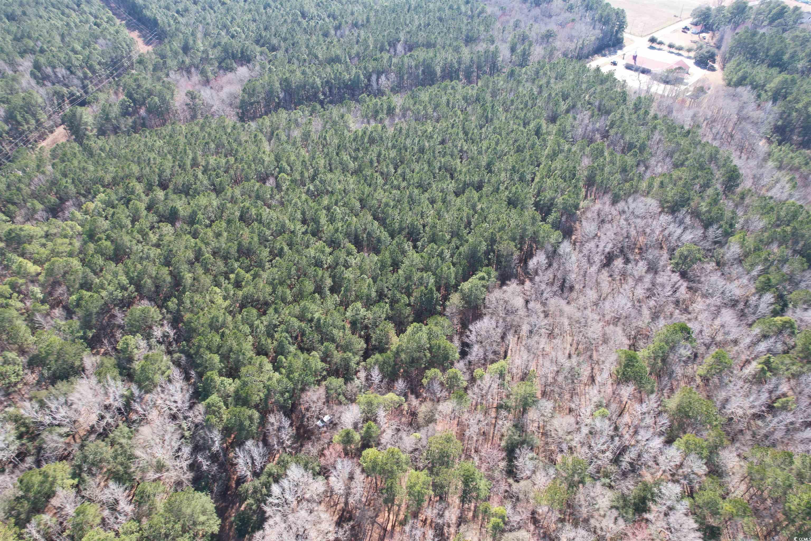 TBD Union Church Rd., Salters, South Carolina image 15