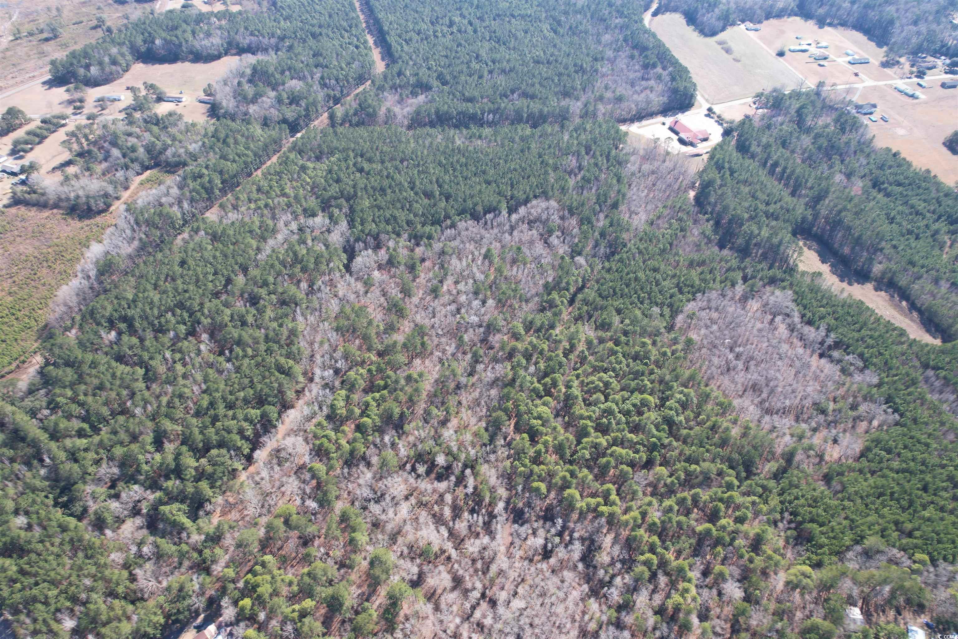 TBD Union Church Rd., Salters, South Carolina image 16