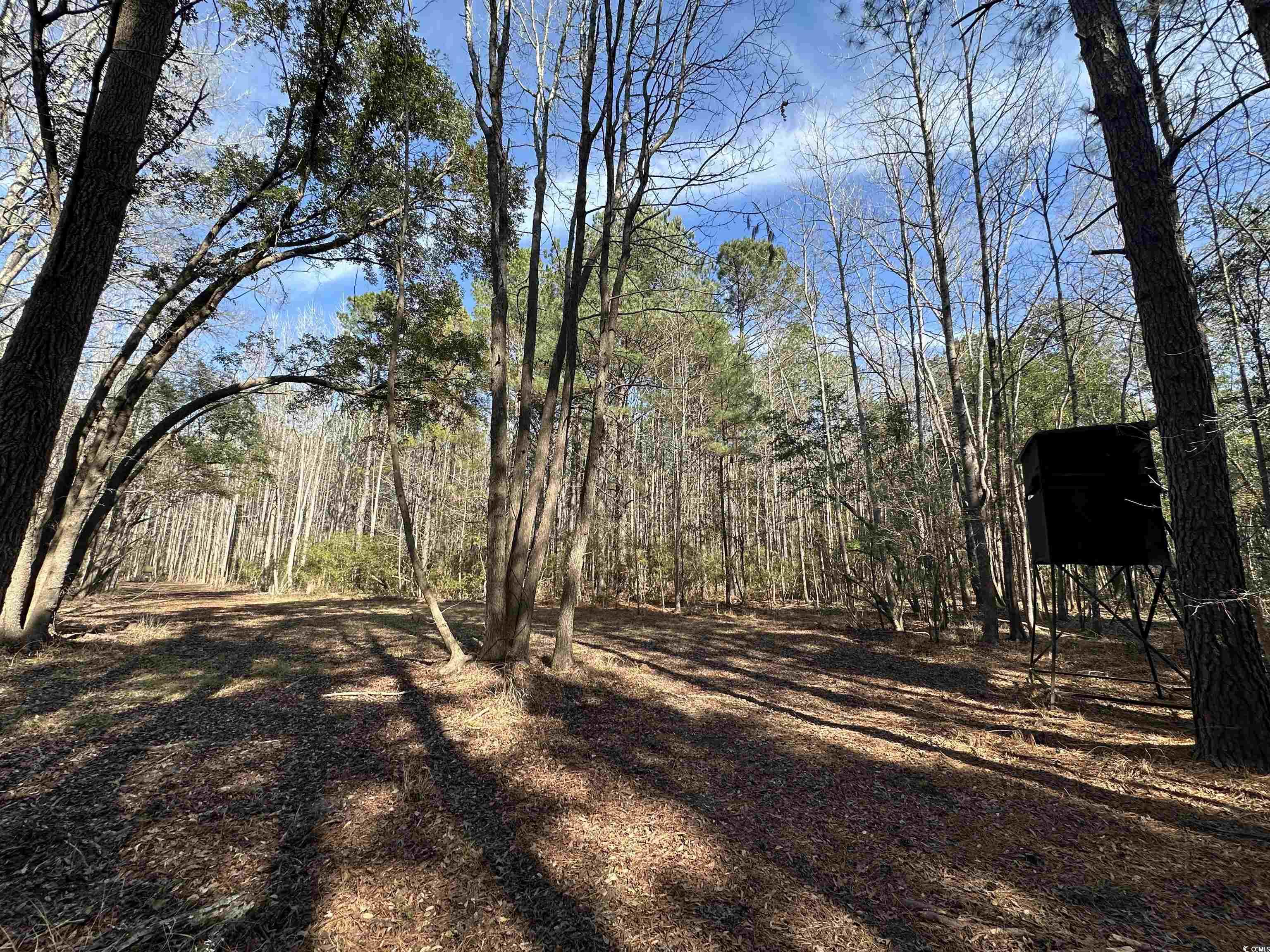 TBD Union Church Rd., Salters, South Carolina image 5