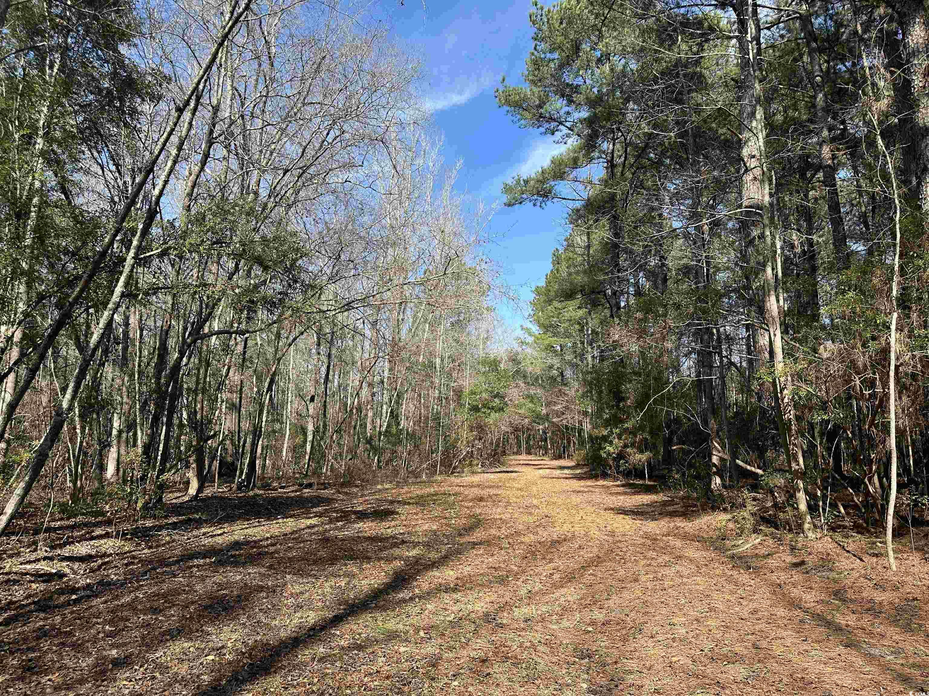 TBD Union Church Rd., Salters, South Carolina image 8