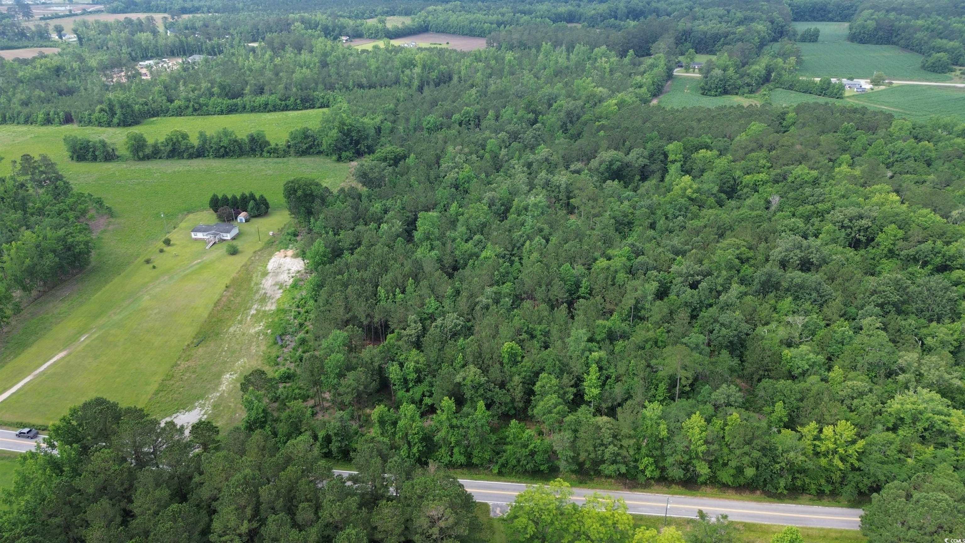 TBD Fries Bay Rd., Loris, South Carolina image 11