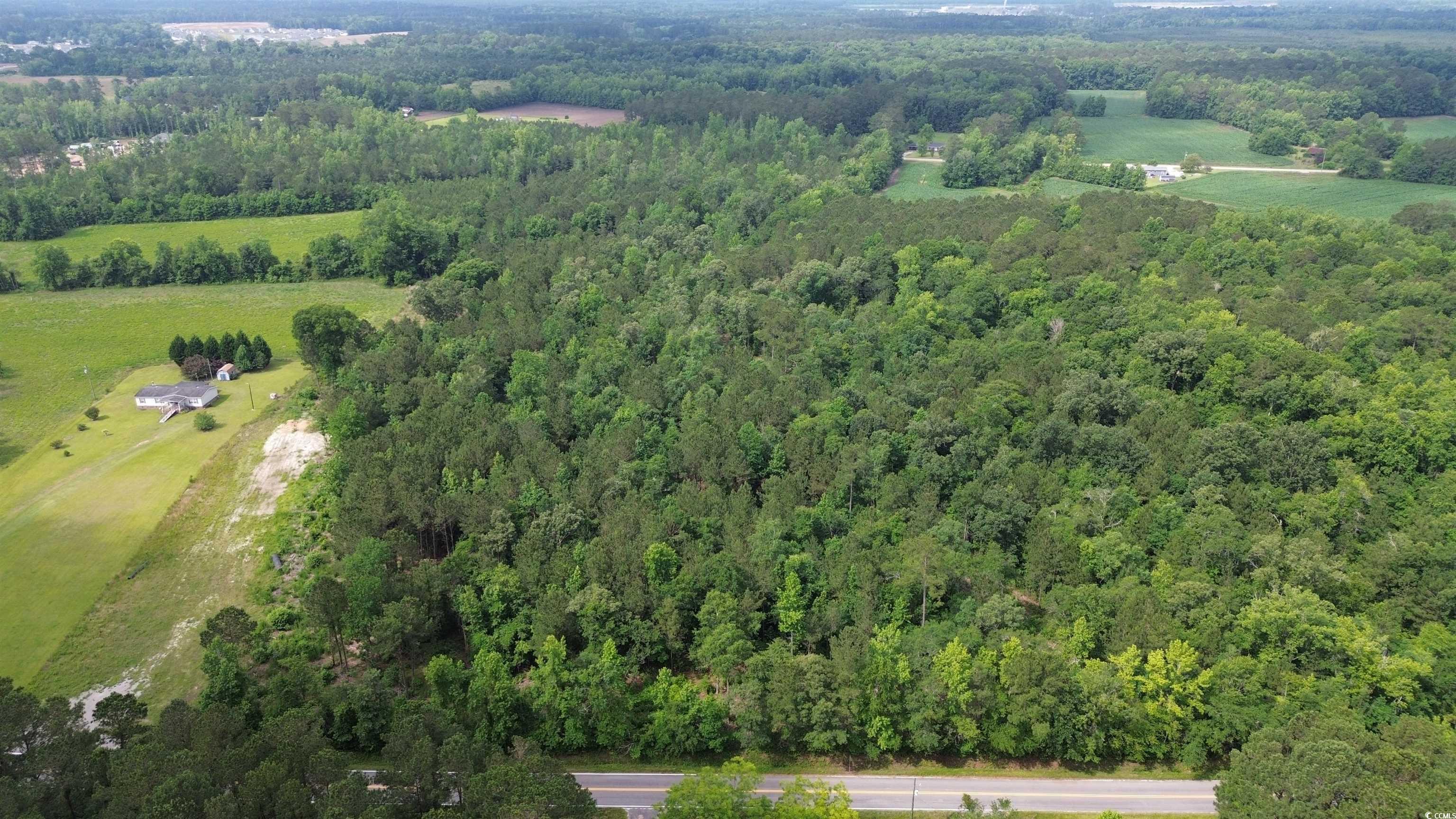 TBD Fries Bay Rd., Loris, South Carolina image 2