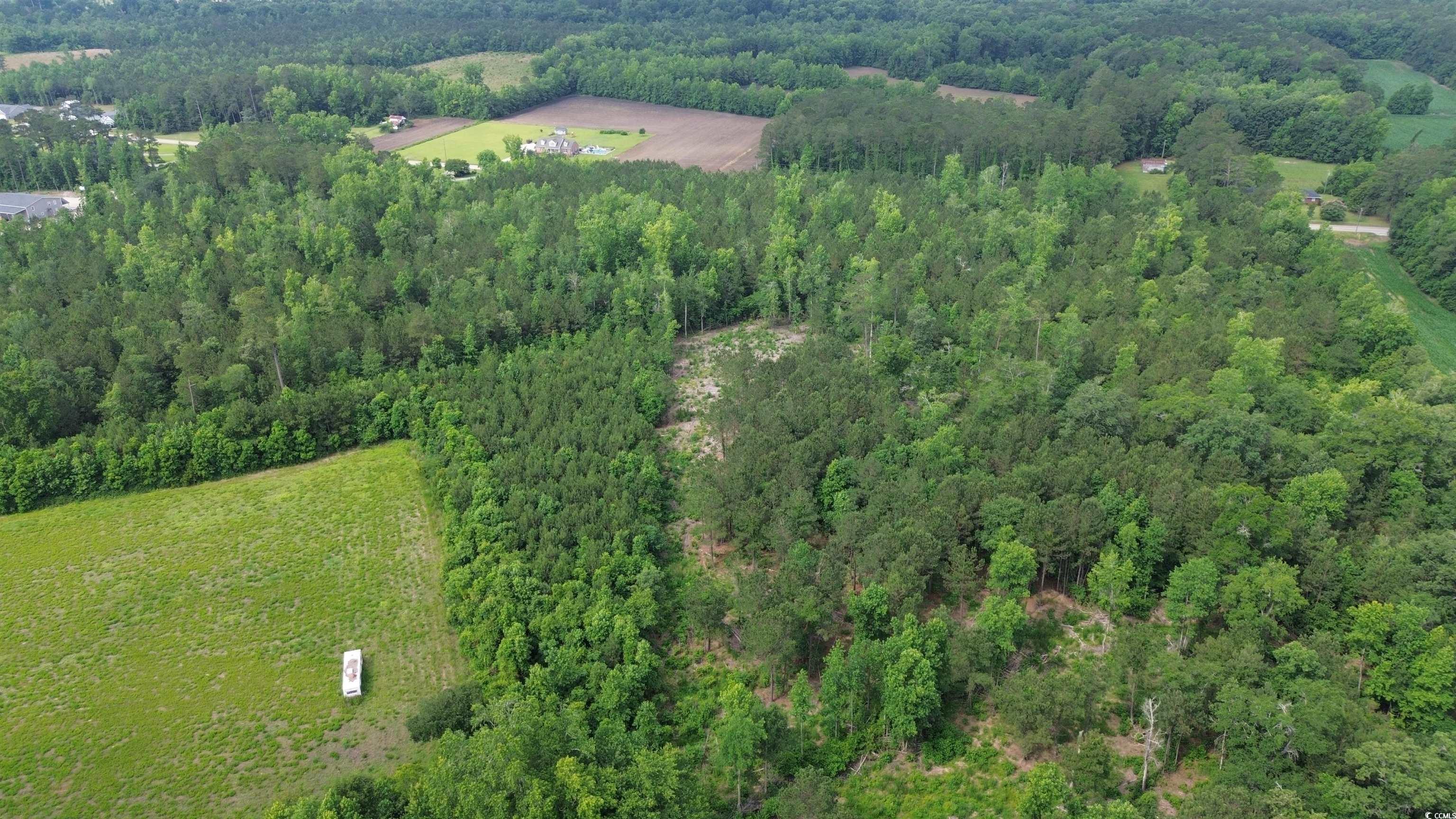 TBD Fries Bay Rd., Loris, South Carolina image 12