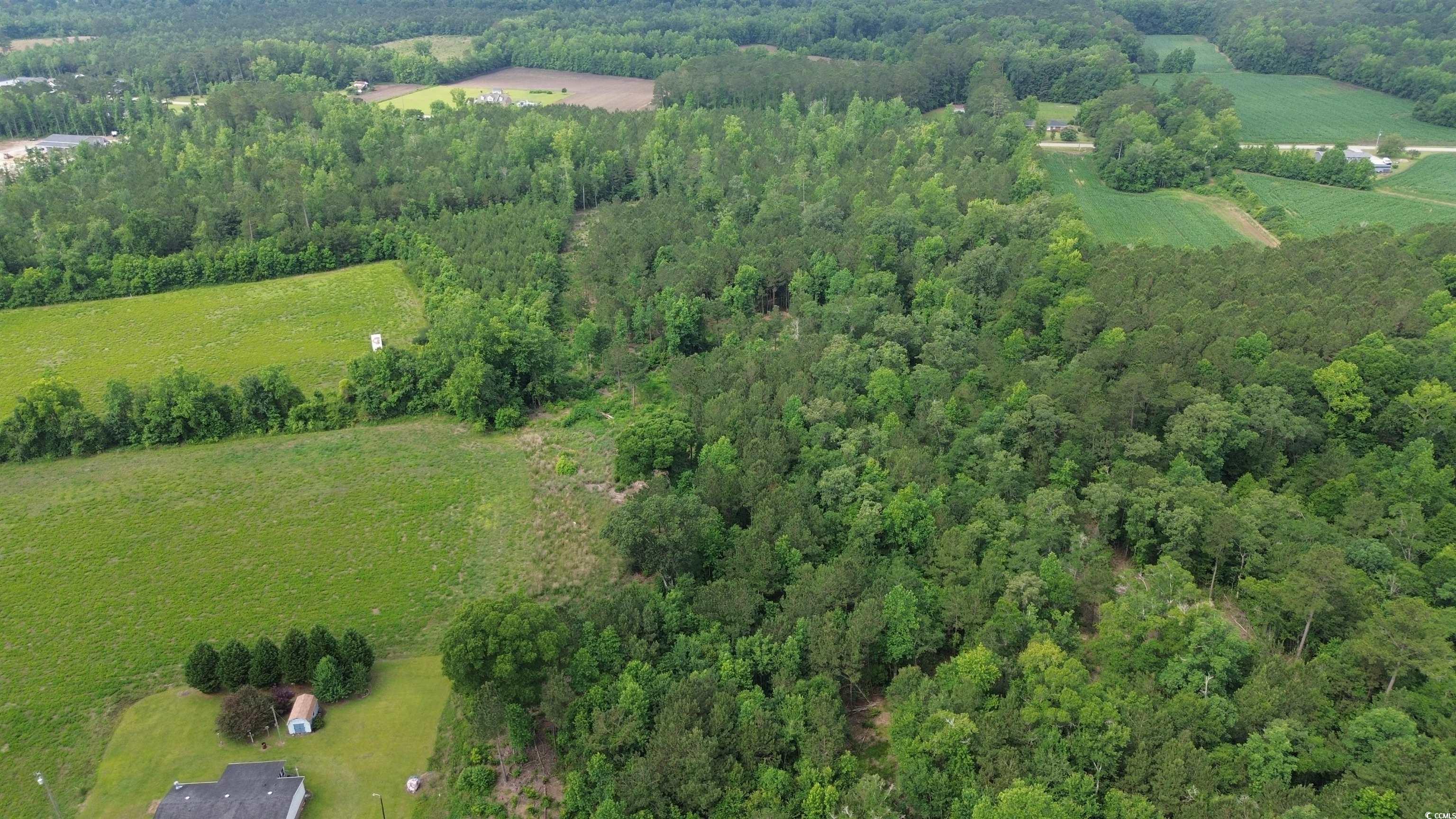 TBD Fries Bay Rd., Loris, South Carolina image 13