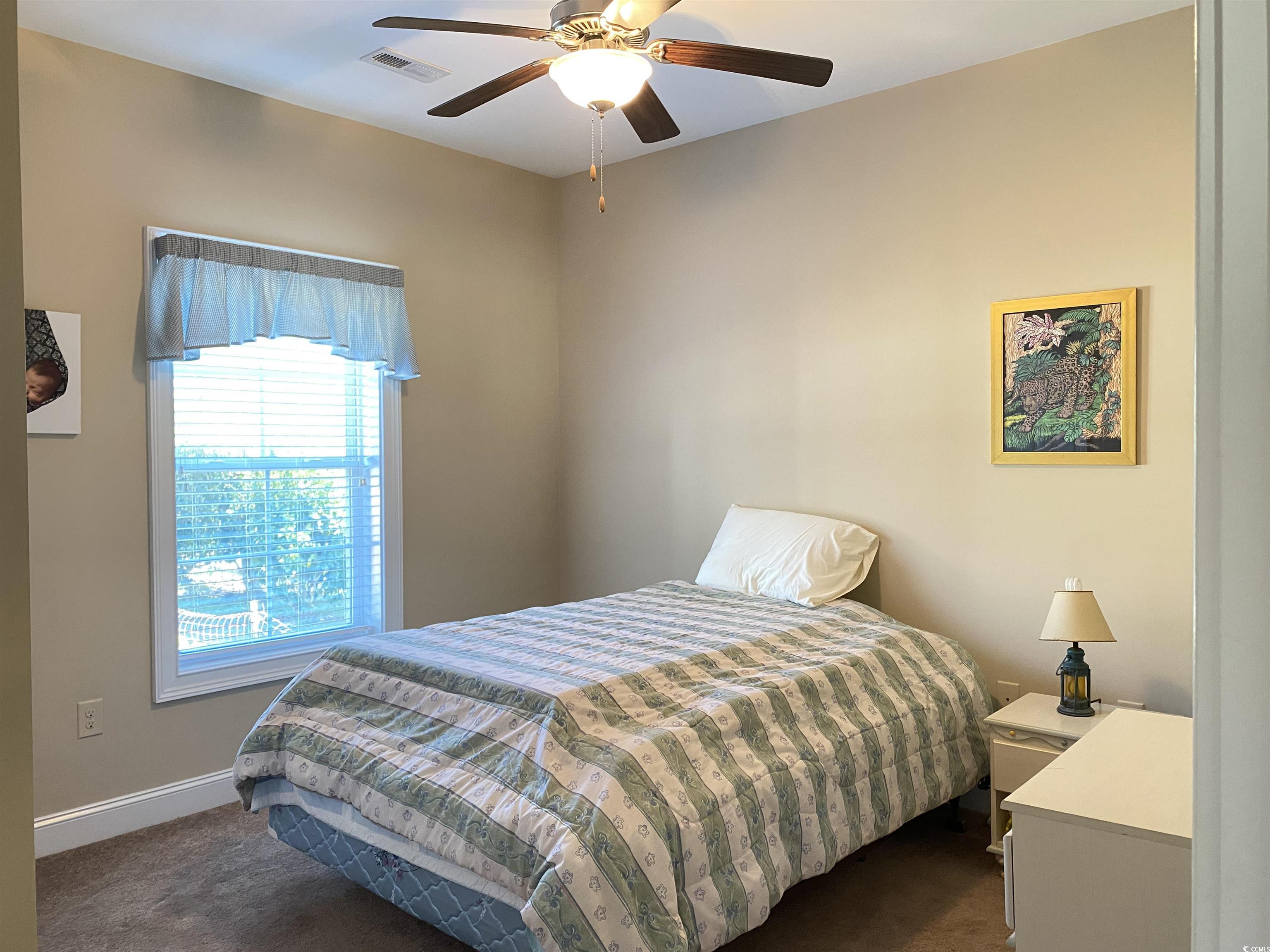 348 Basswood Ct., Conway, South Carolina image 14