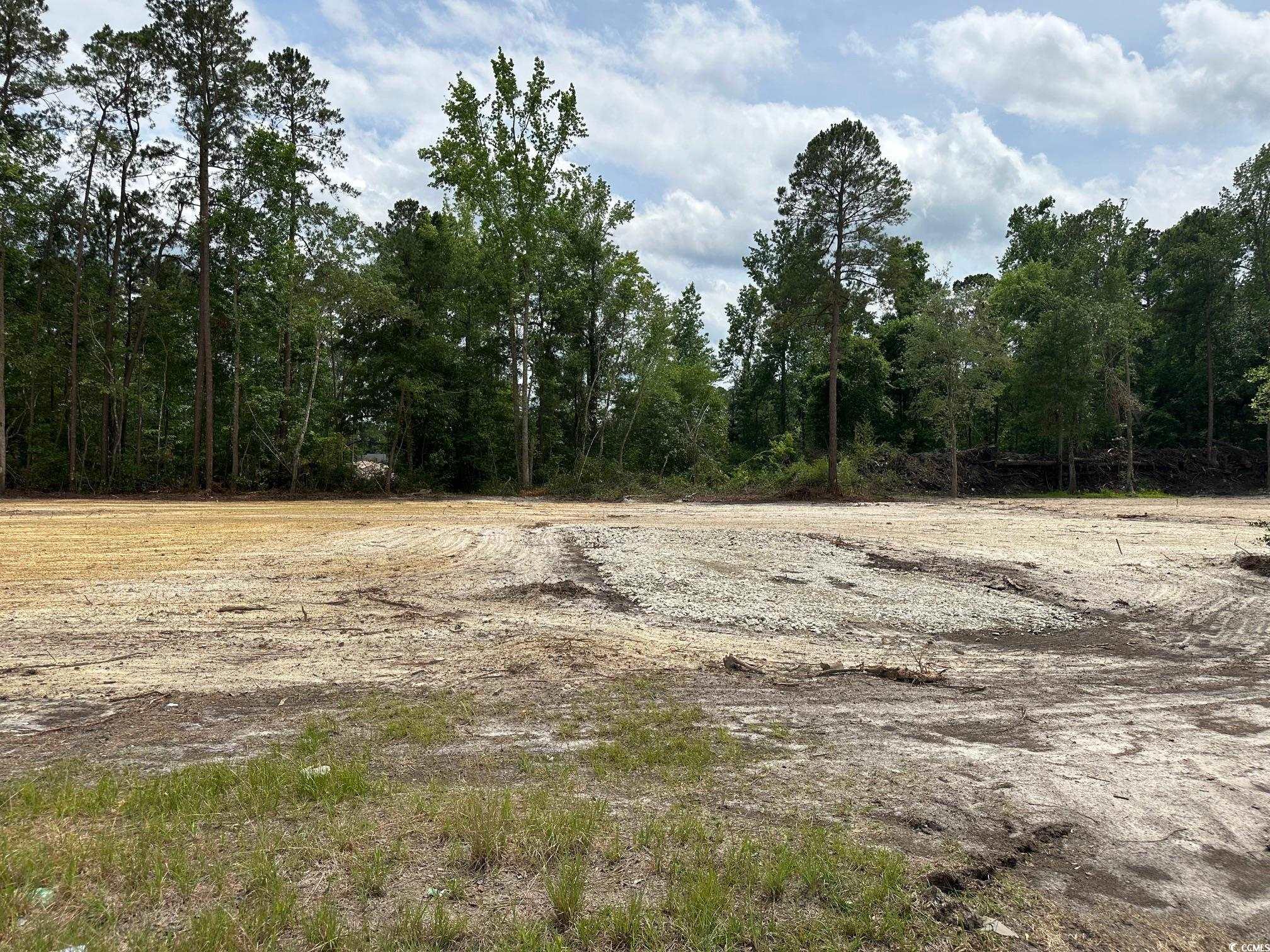 TBD 4 Saint John Rd., Galivants Ferry, South Carolina image 1