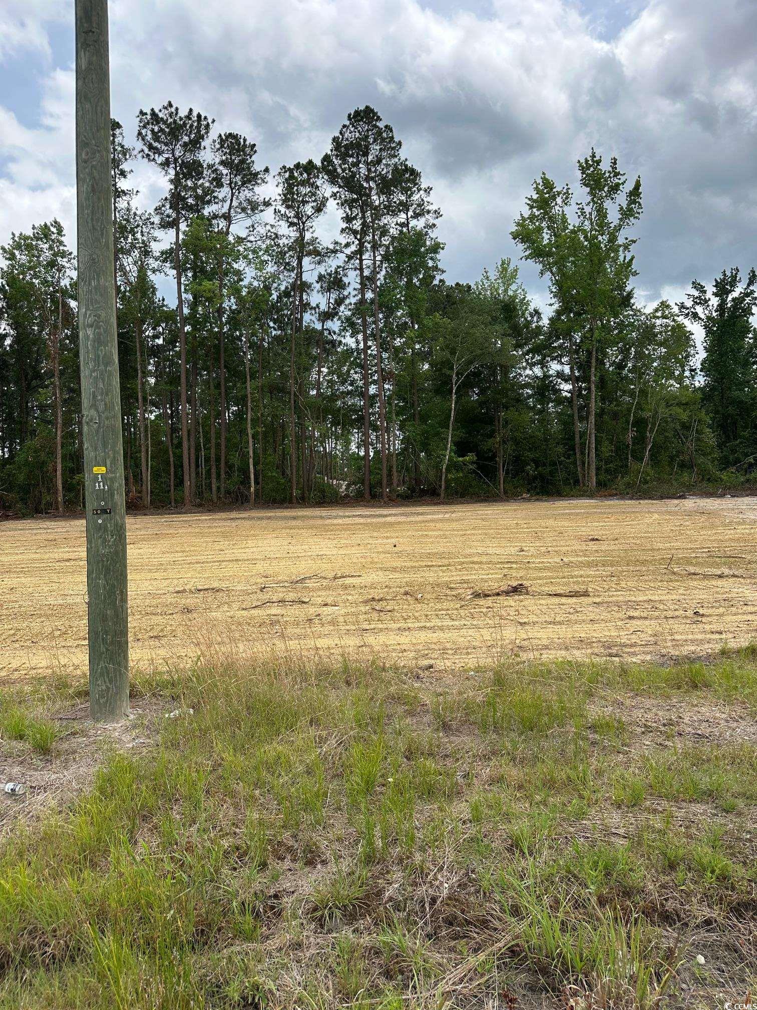 TBD 3 Saint John Rd., Galivants Ferry, South Carolina image 1